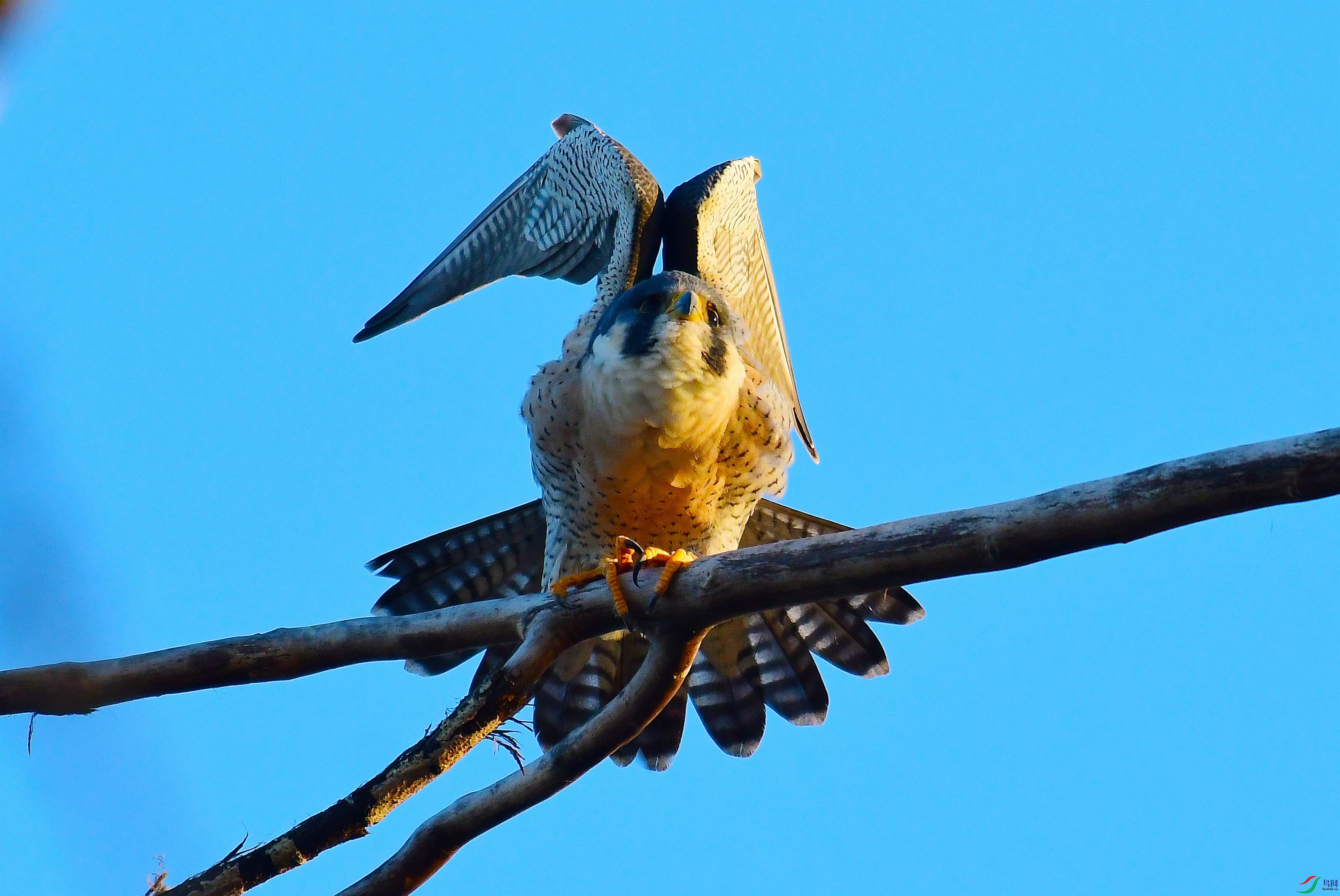 DSC_6697.JPG