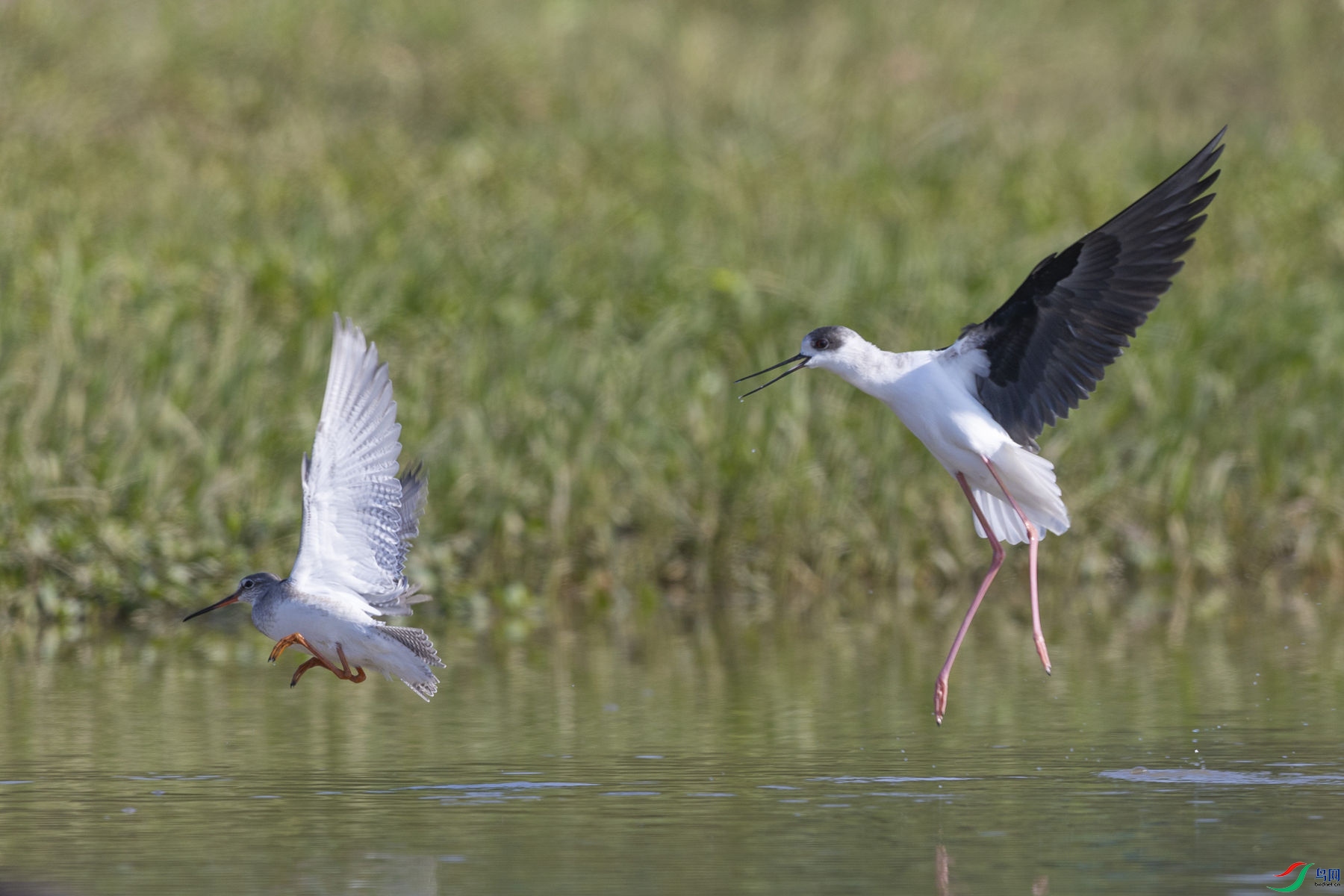 �ڳ᳤����