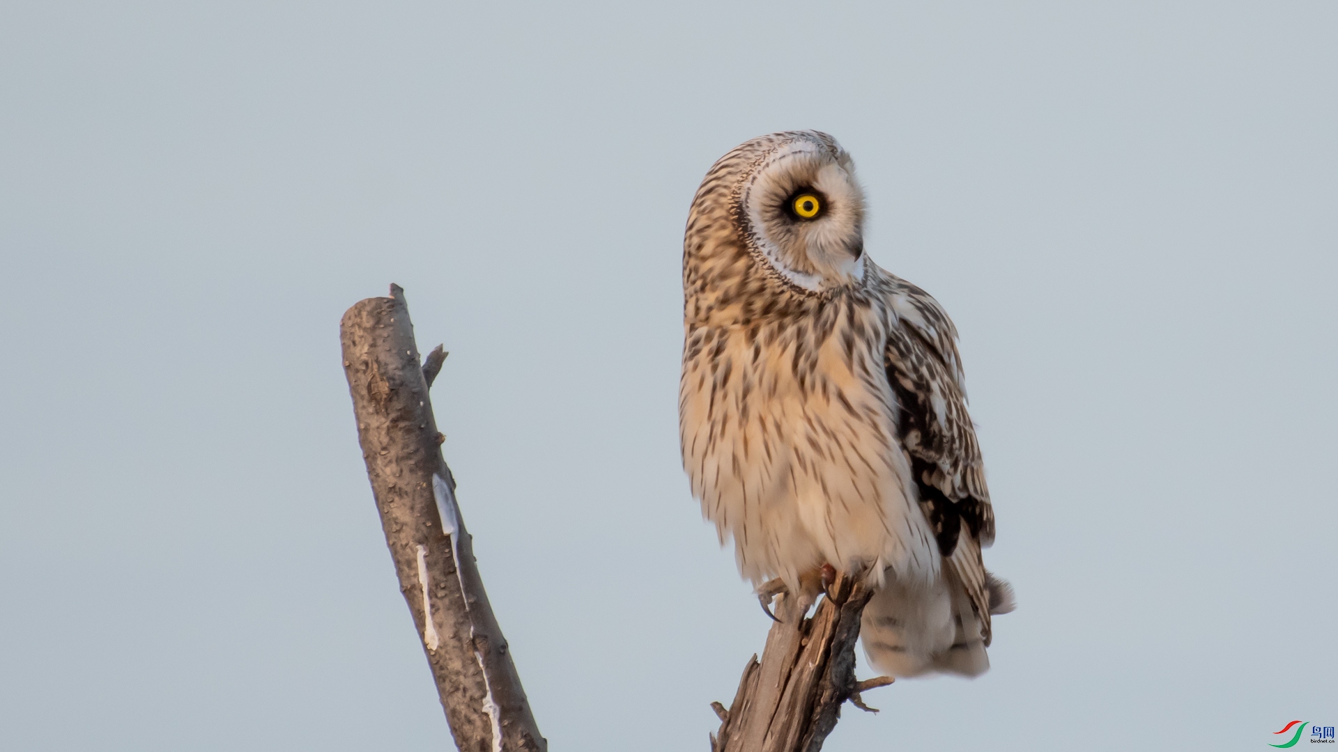_DSC0895.jpg