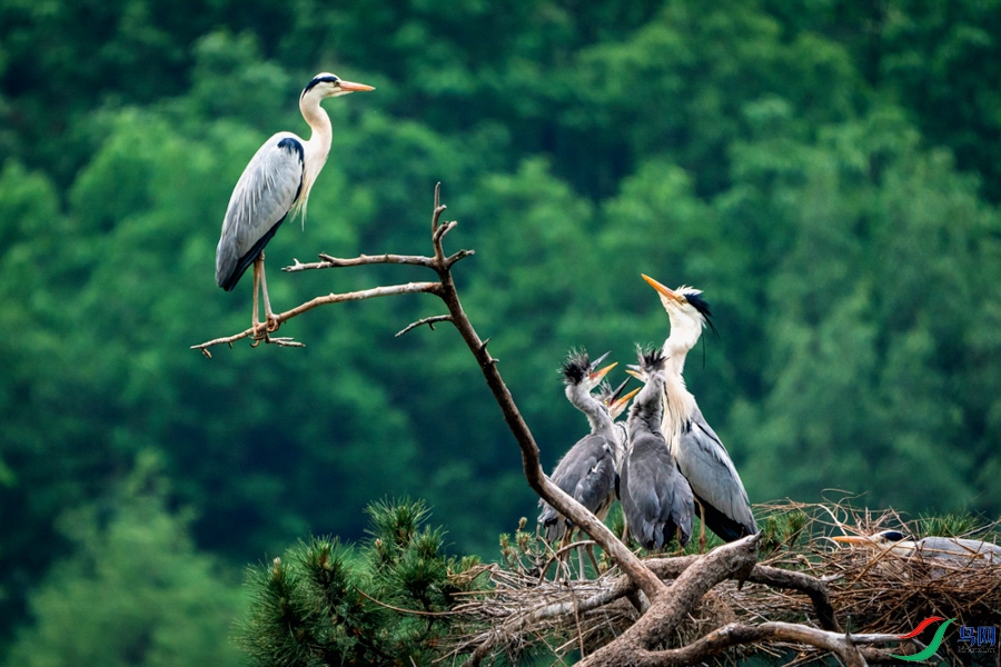 �װ��ģ�����һ�˰ɣ� ����.jpeg