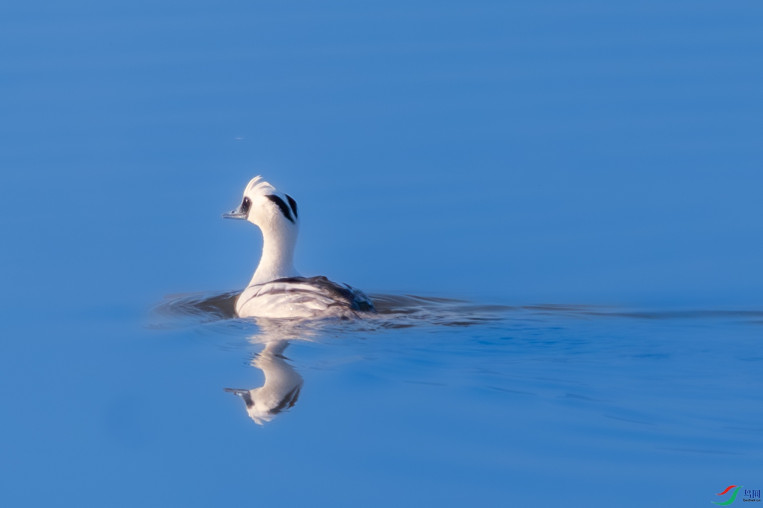 DSC_7344 ����.jpg