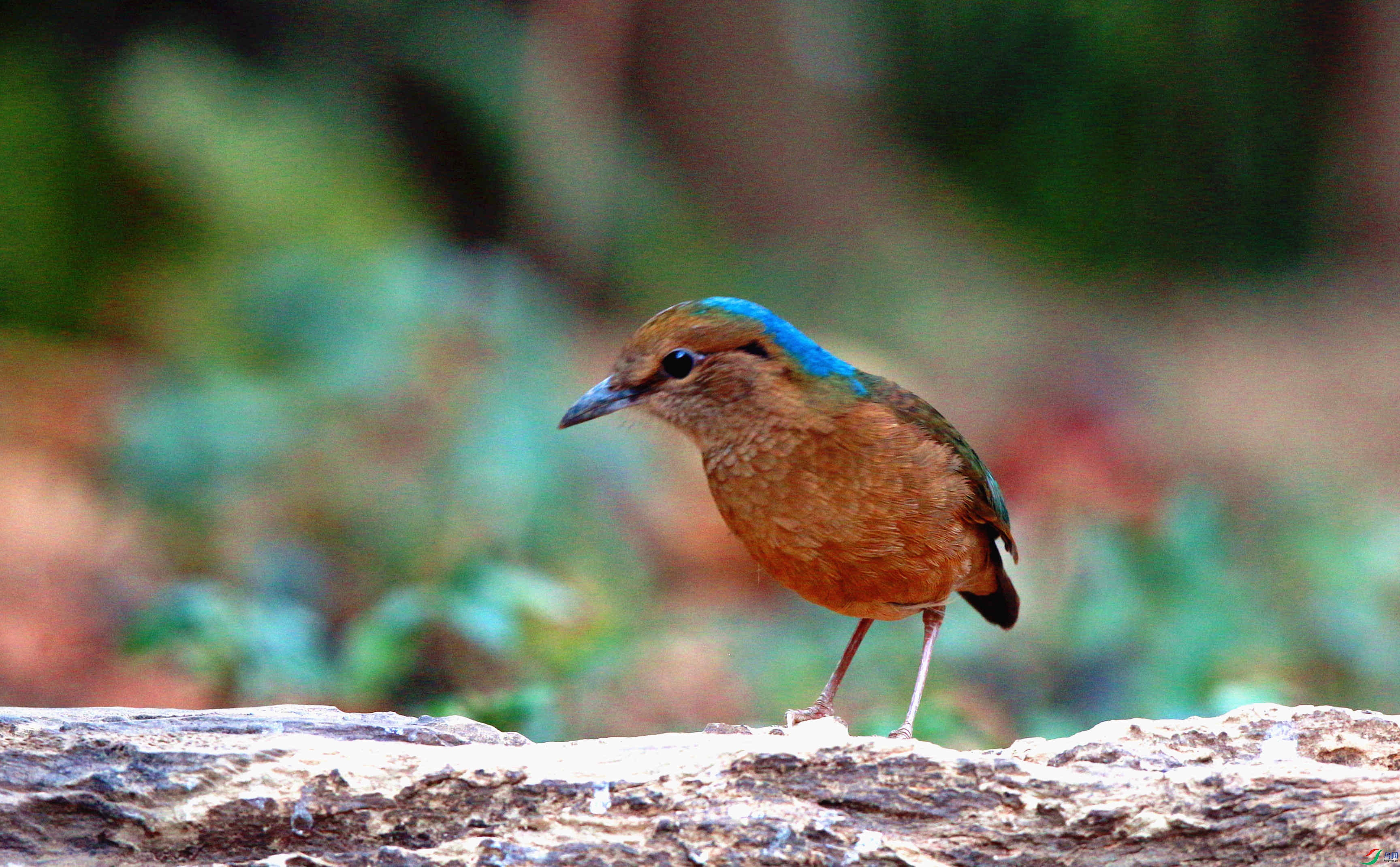 H46R0727_���� (2).jpg