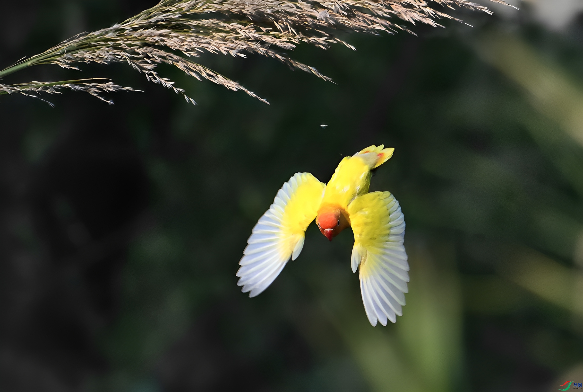 DSC_9824.jpg