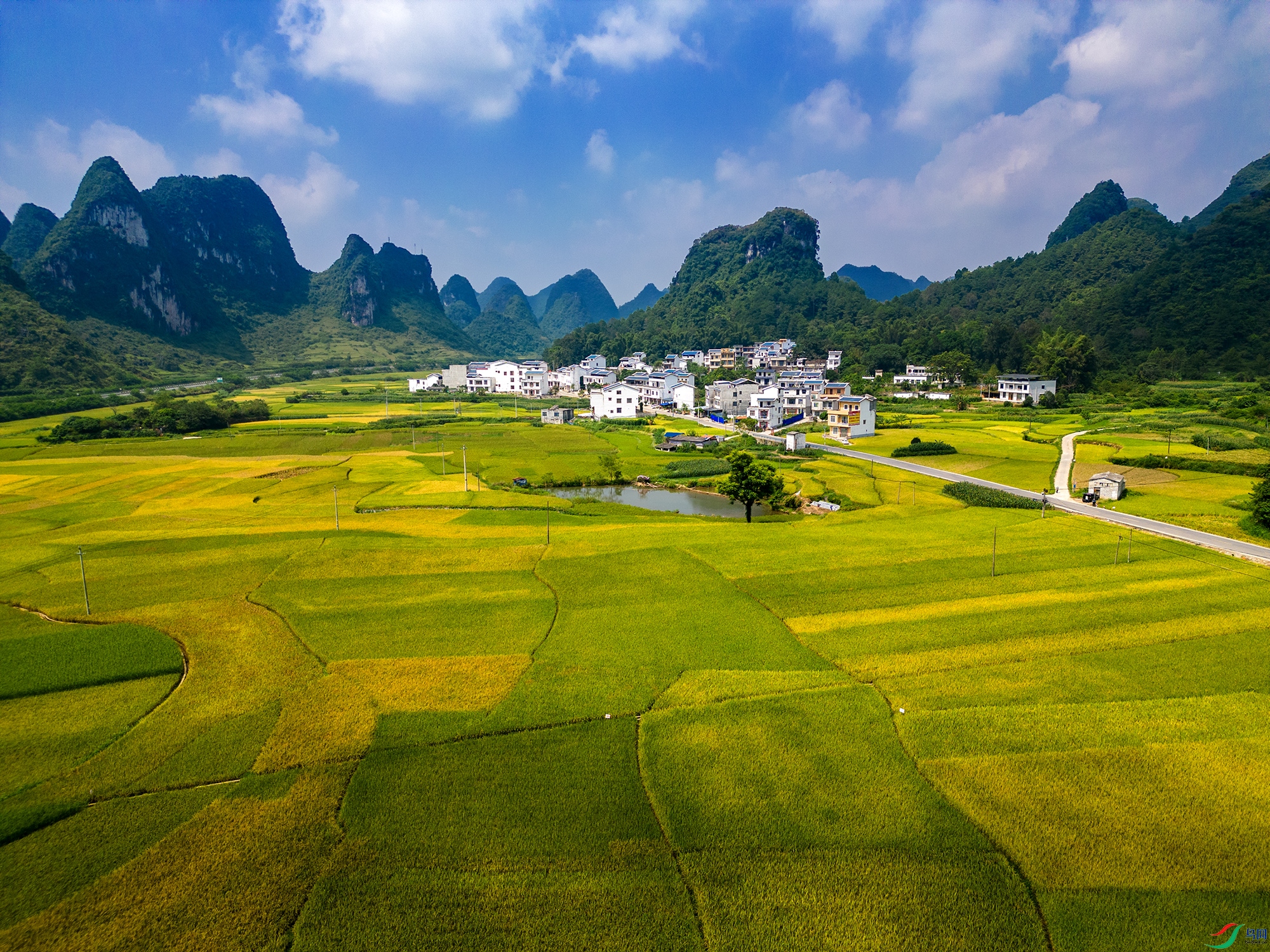 DJI_0930 ����11.jpg