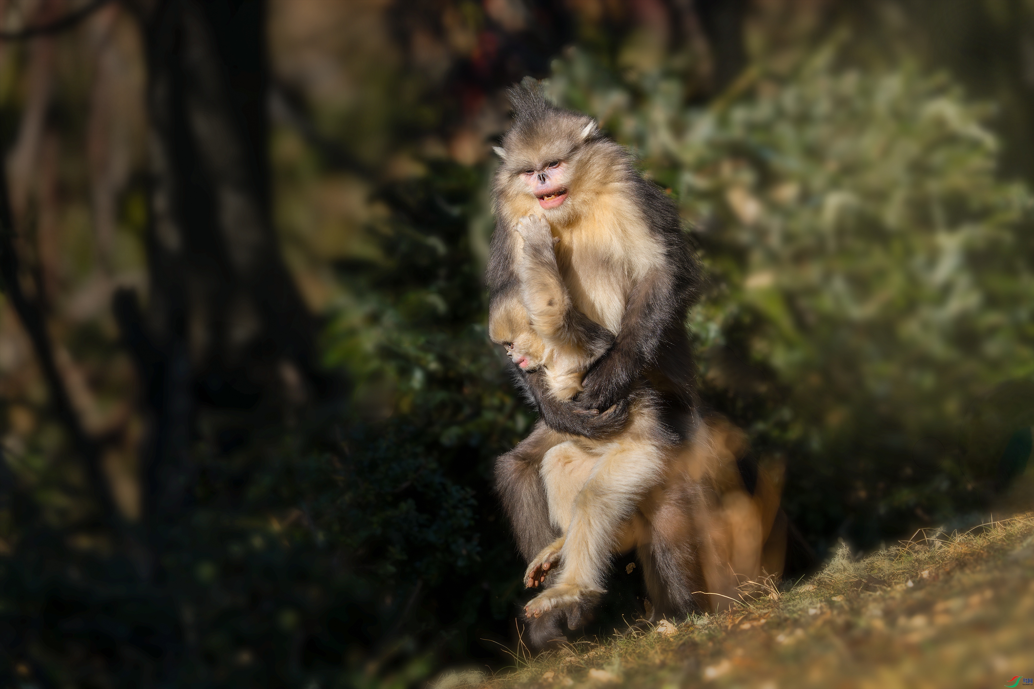 DSC07229 ����.jpg