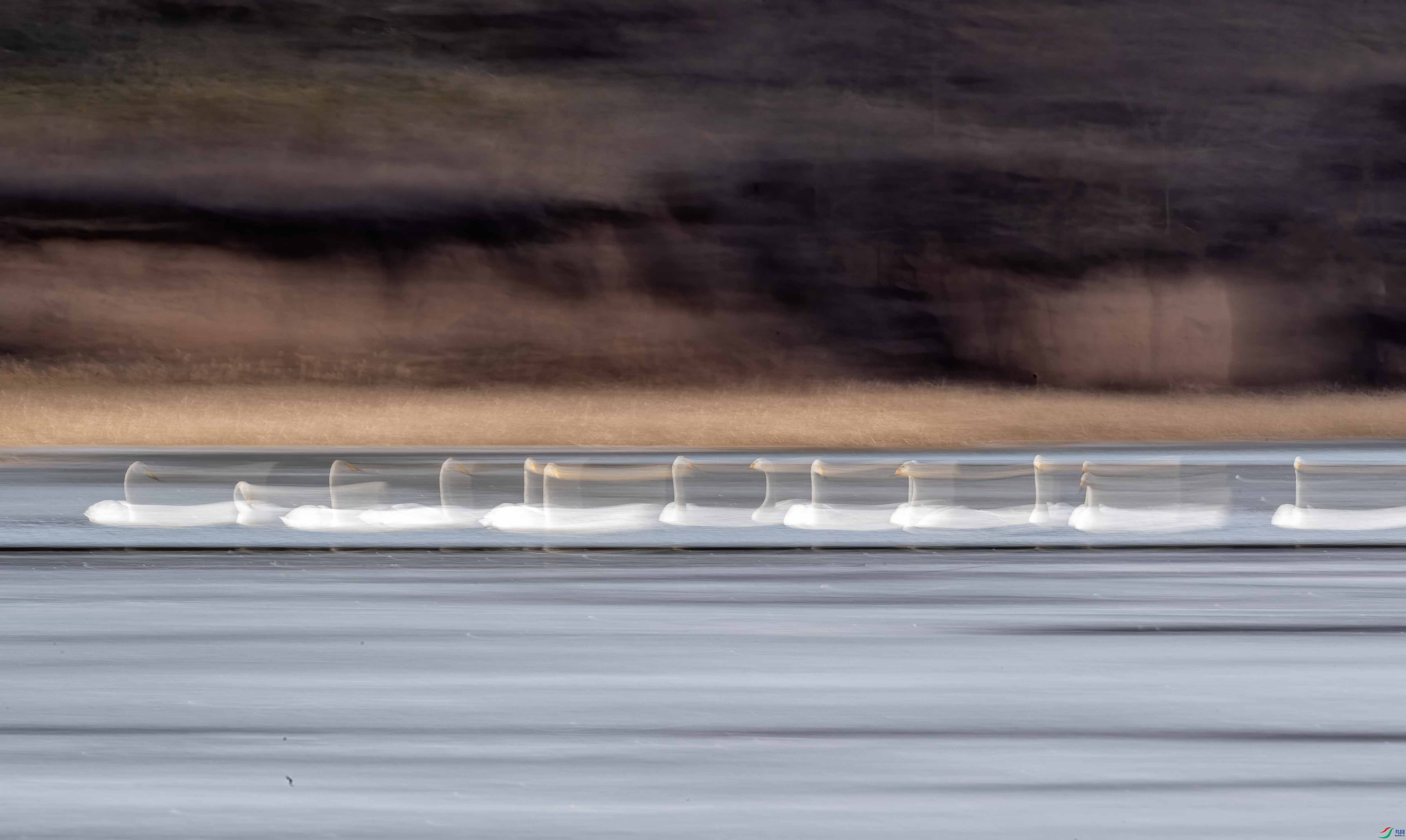 DSC_3998 ����.jpg