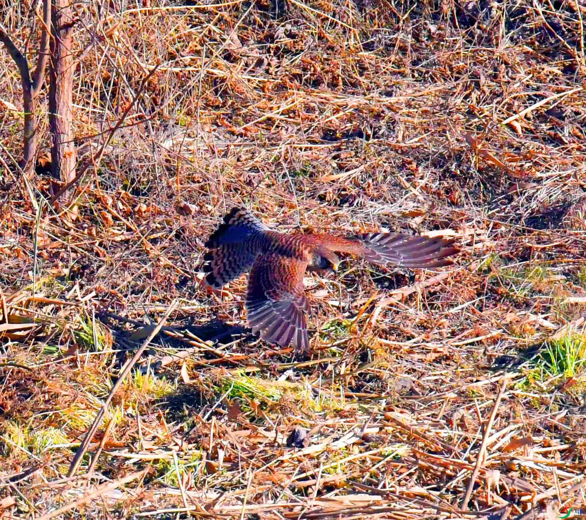 DSC_8173.JPG