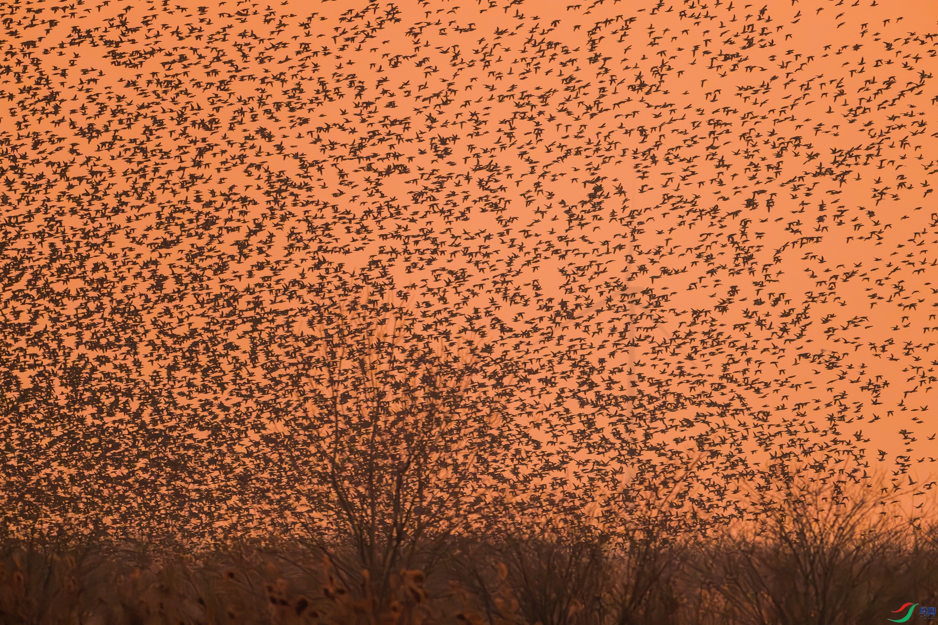 _DSC6585-����ǿ-NR ����_1.jpg