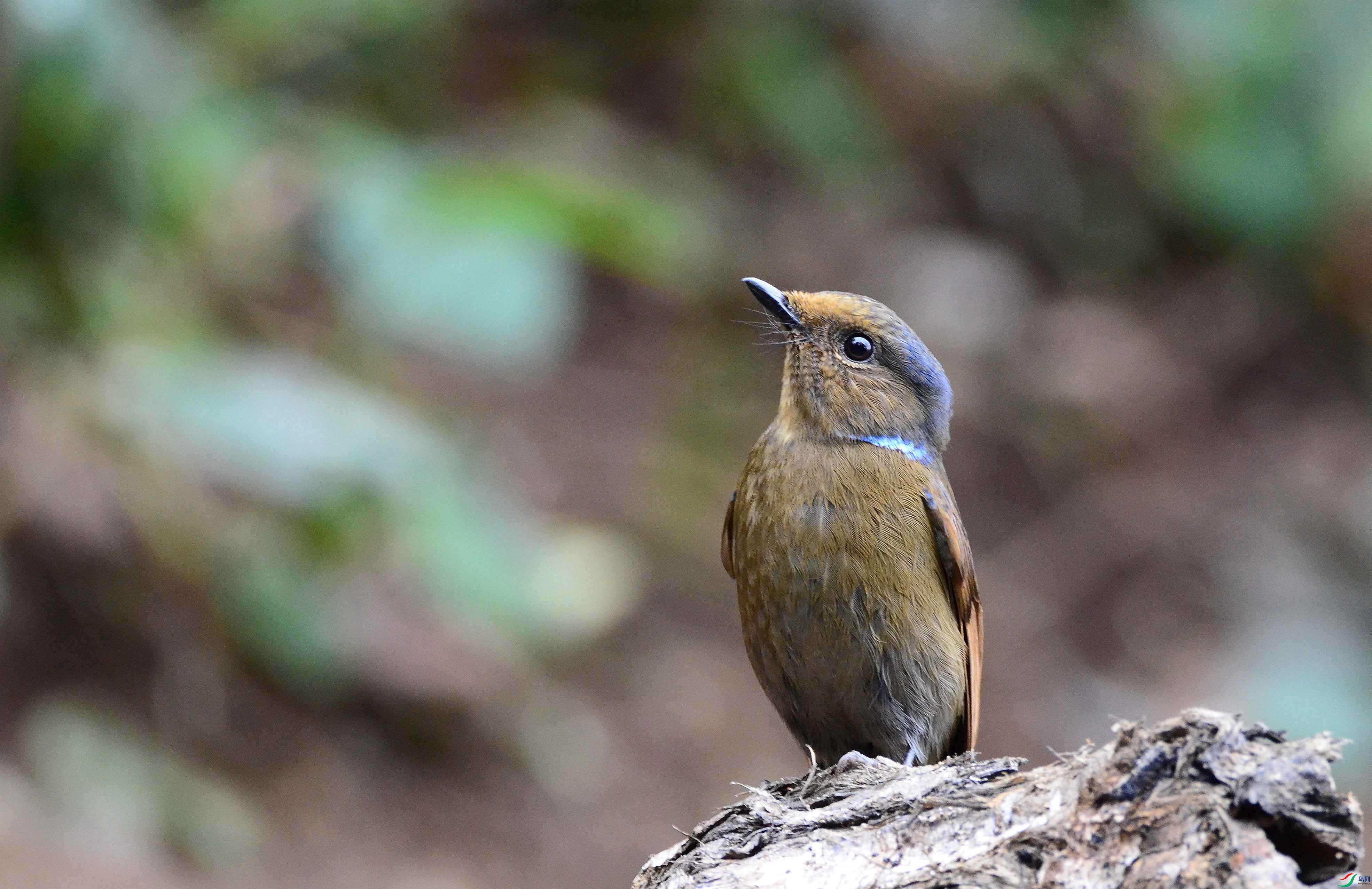 DSC_7428.JPG
