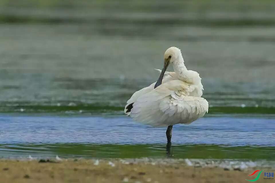 1000027155.jpg