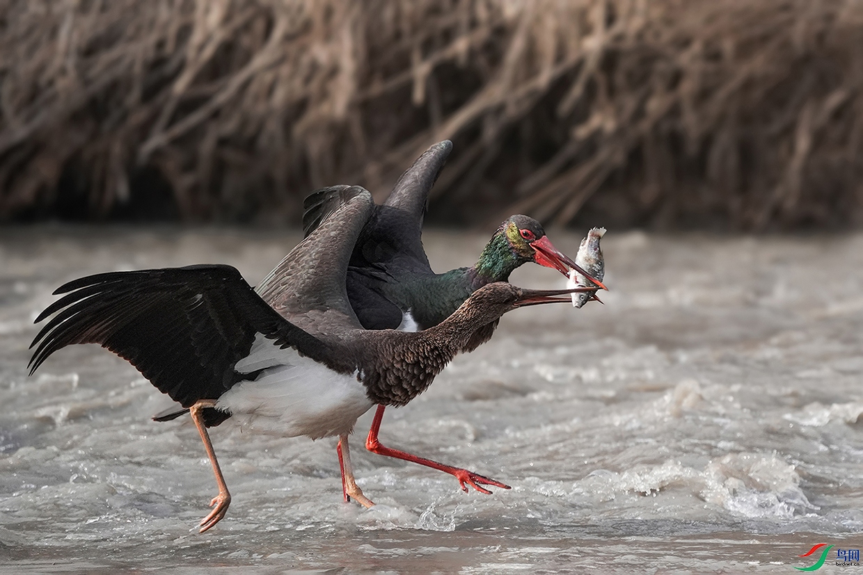 DSC08849 ���� 3.jpg