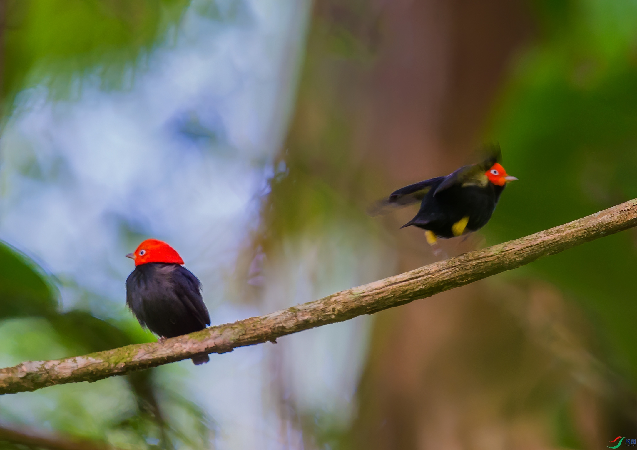 _DSC2566-1.jpg