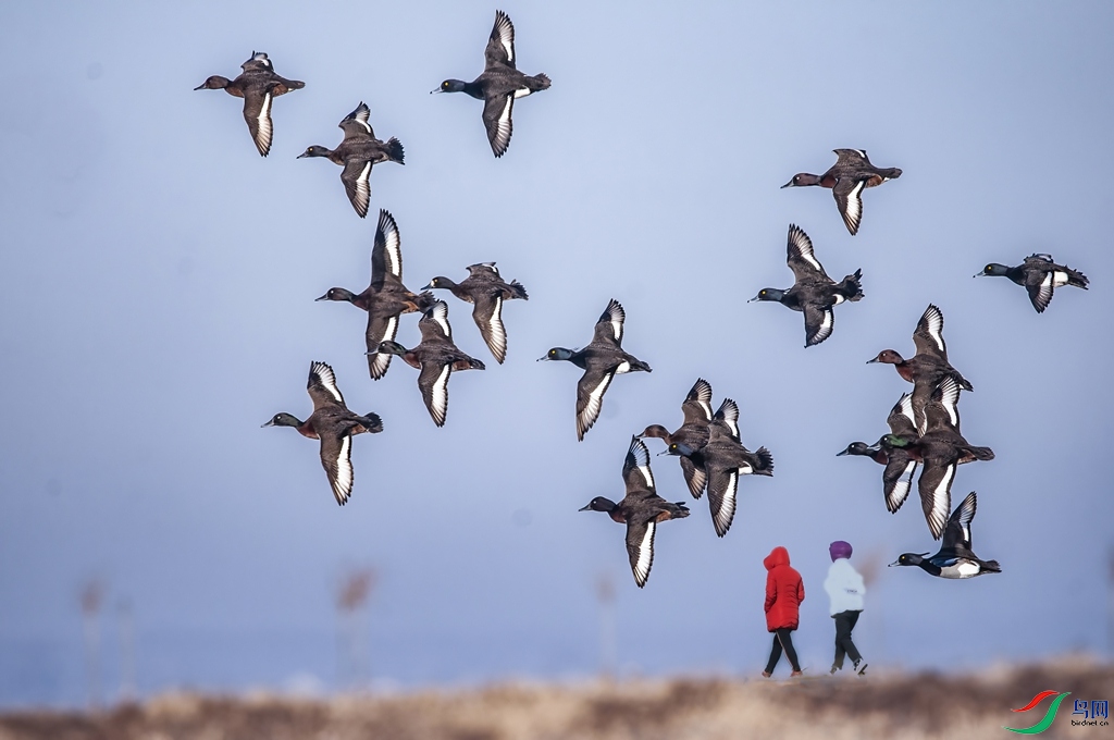 psc ����_����.jpg