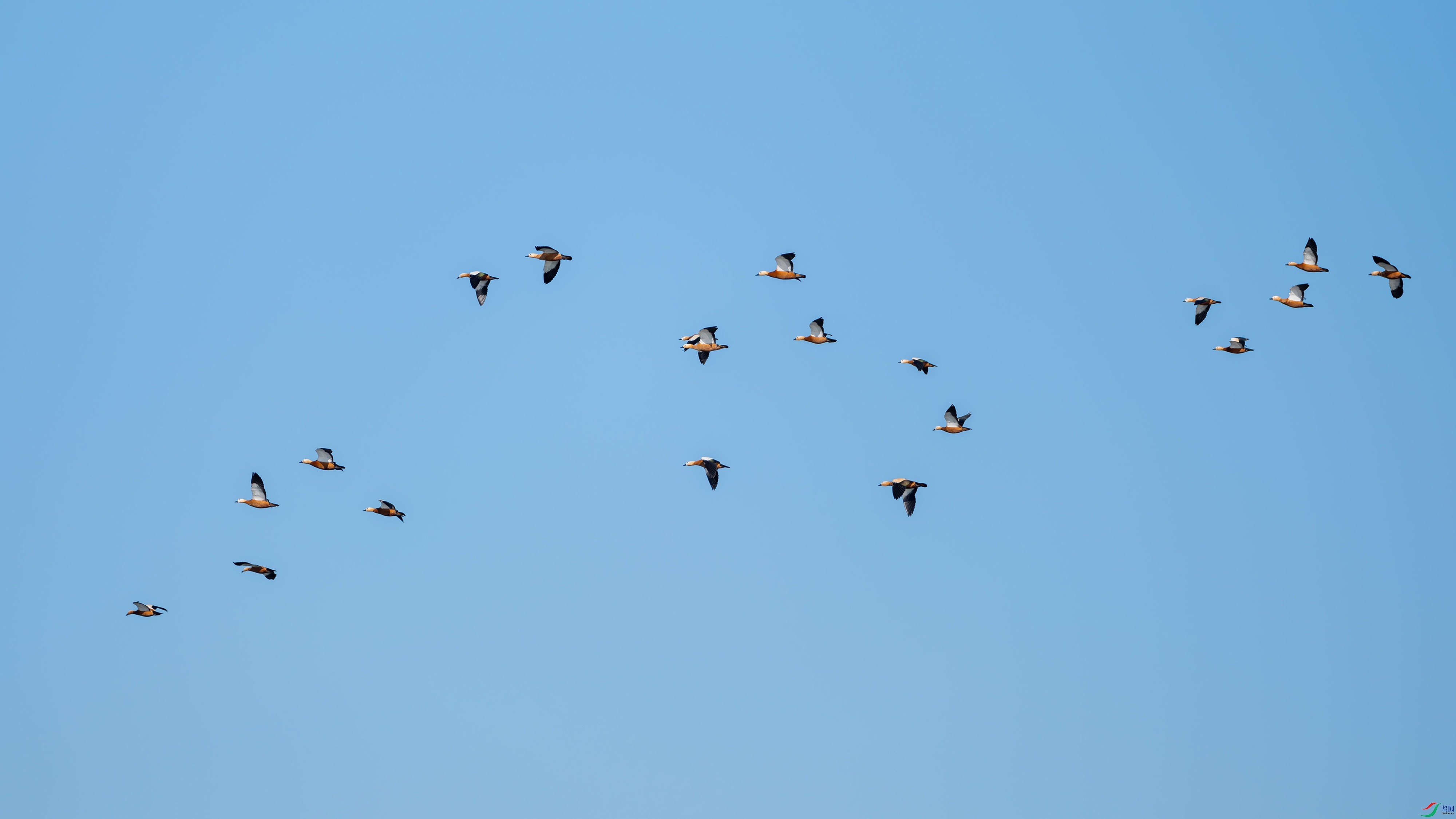 DSCF1264.jpg