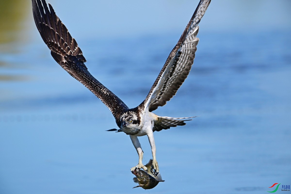 DSC_2162.jpg1.jpg
