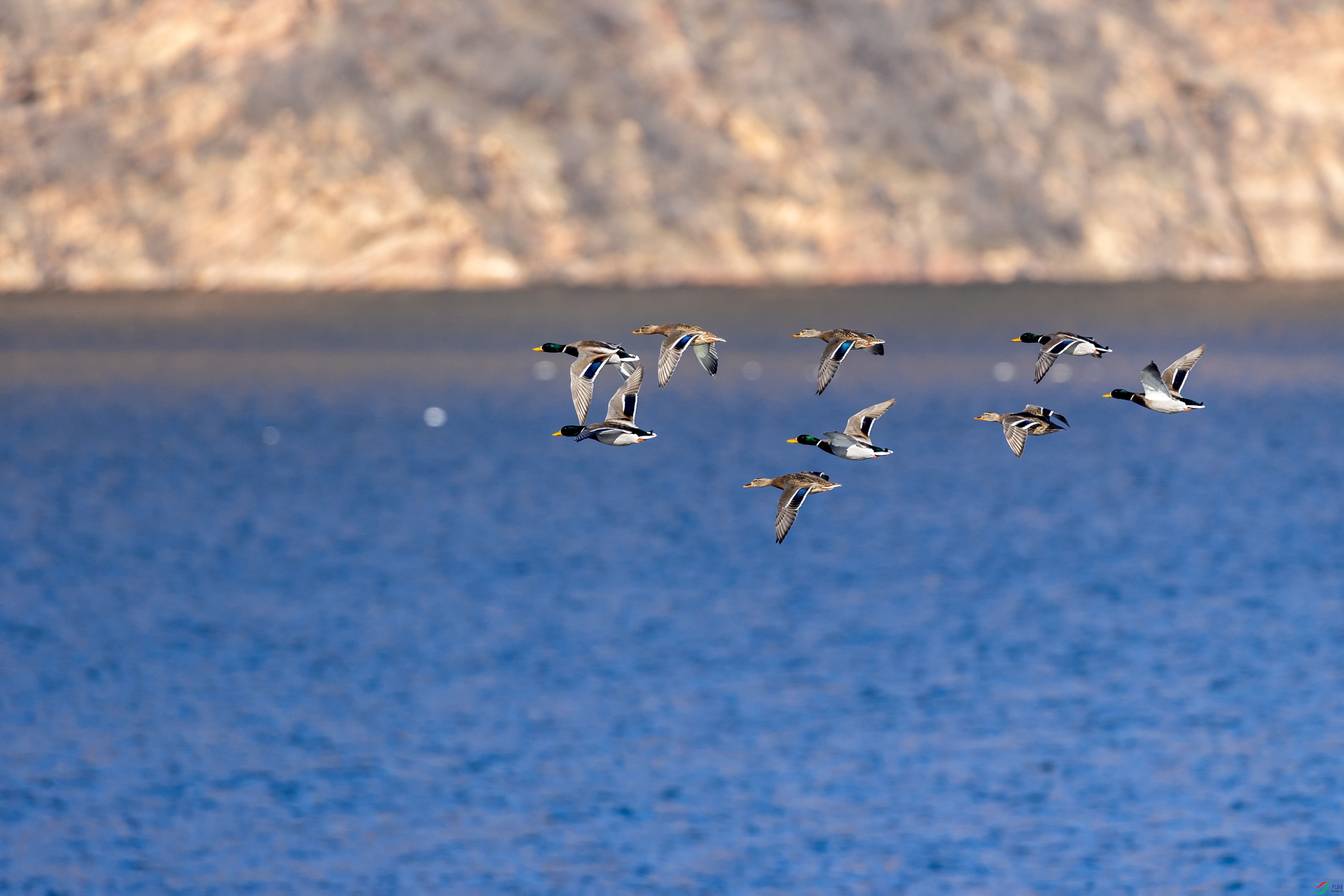 AN4I7879 ���� 2.jpg