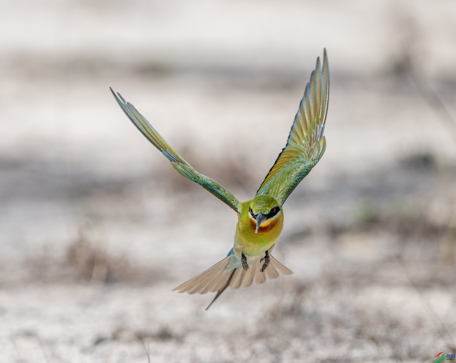 DSC_8763-1.jpg
