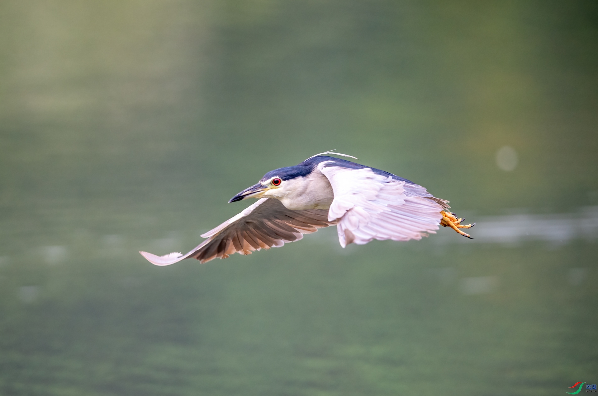 DSC_9122-1.jpg