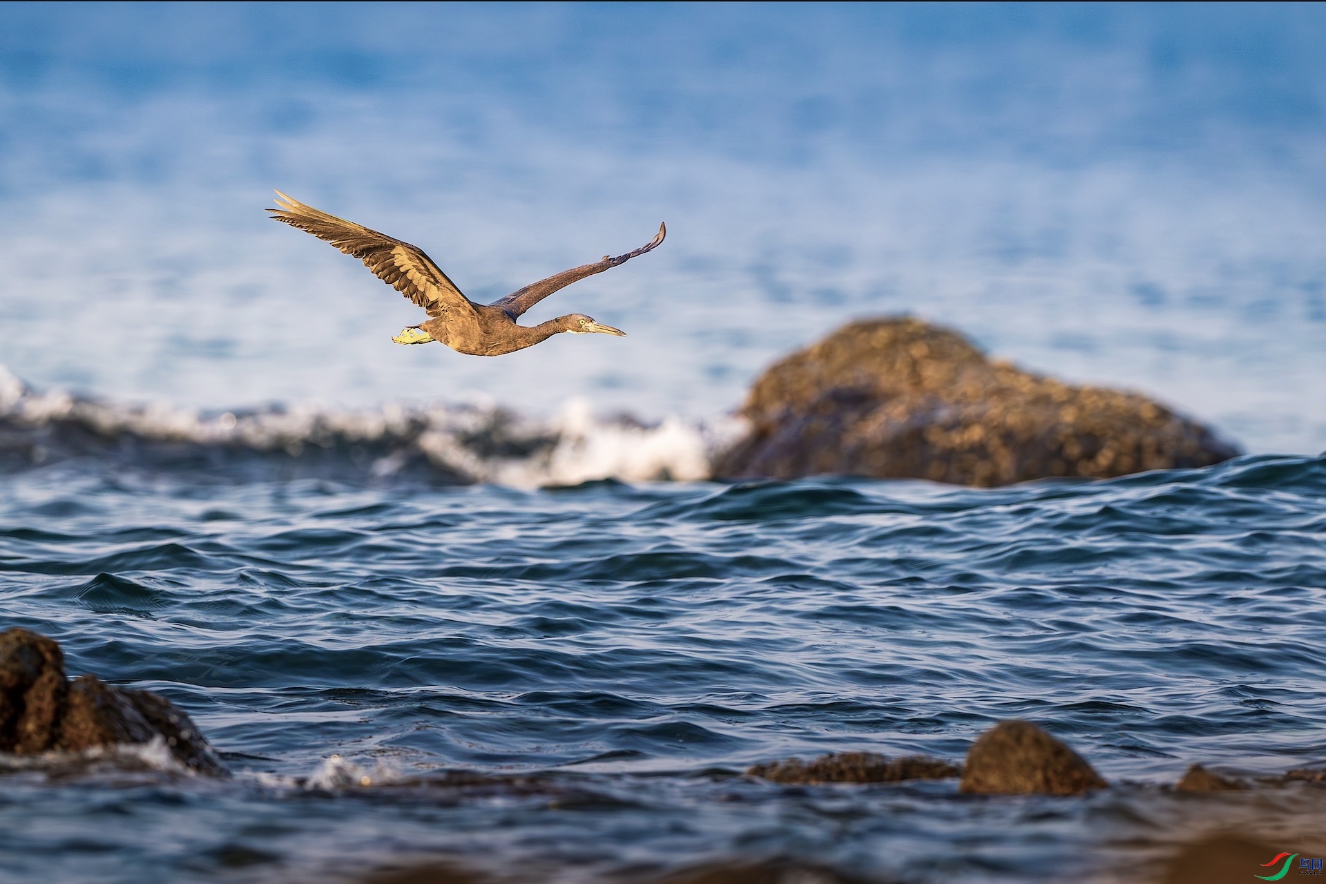 1_XXL6980-����ǿ-NR ����.jpg1.jpeg