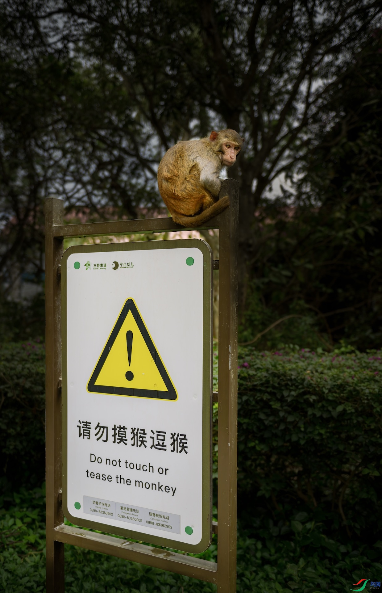 1_XXL9433-����ǿ-NR ����.jpeg