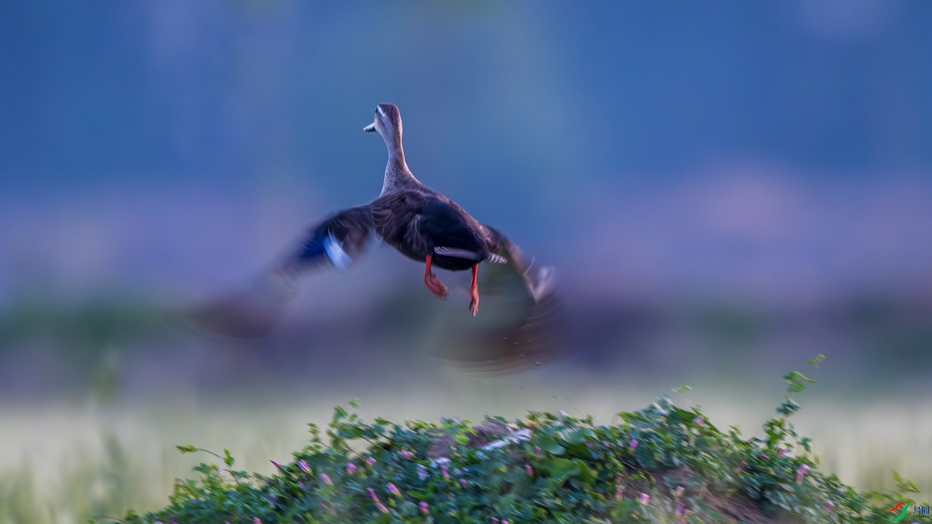 1--2_XXL1025-����ǿ-NR ����.jpeg