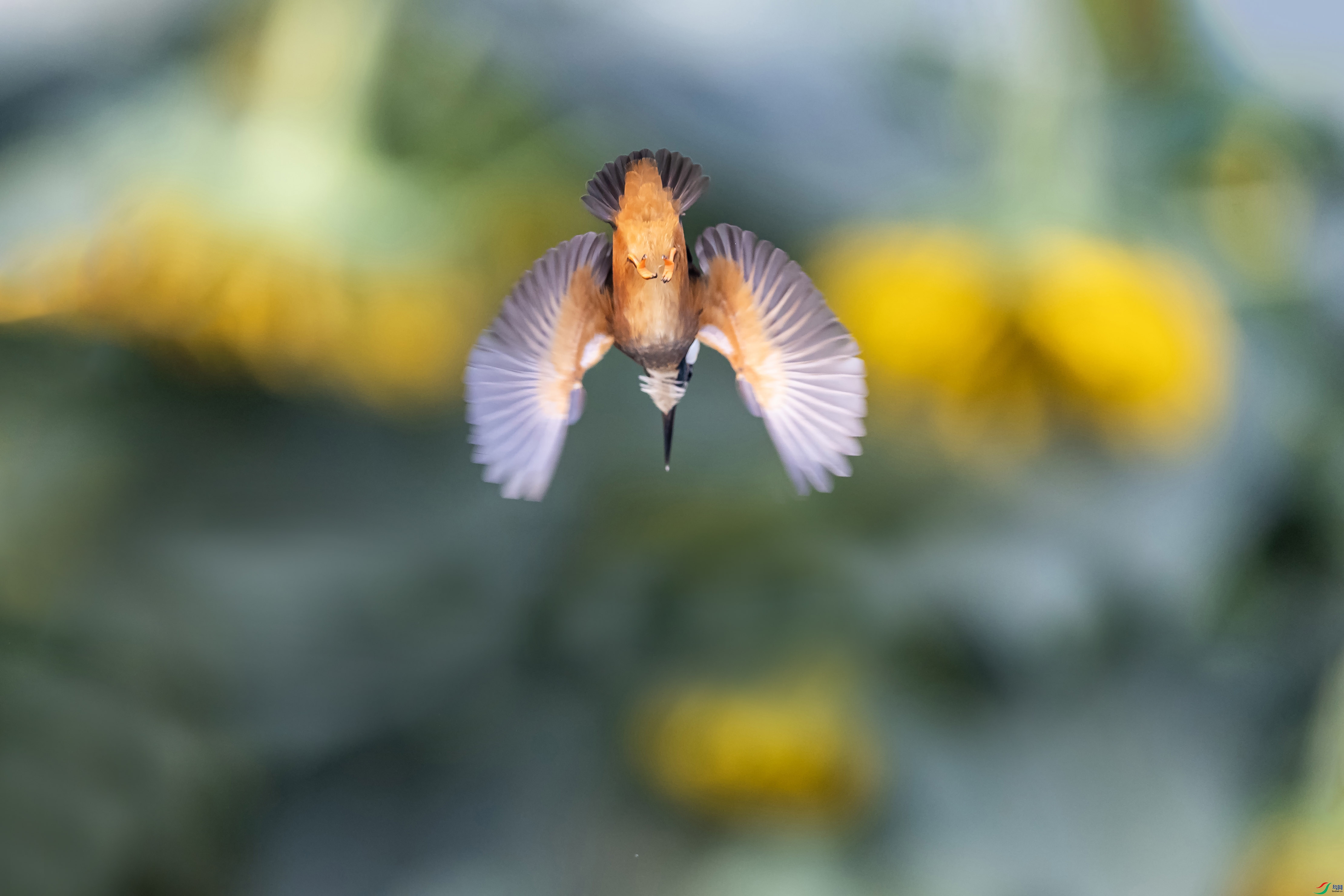 AN4I9986 ���� 3.jpg