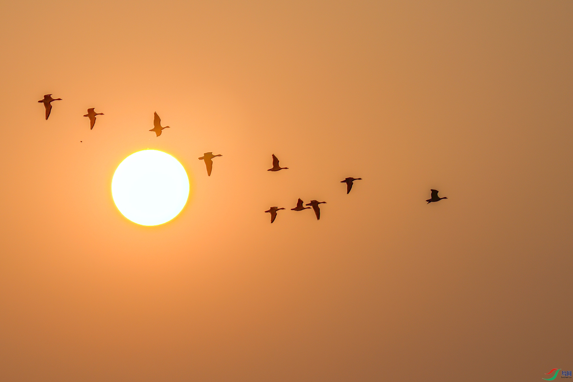 407A9105-S----1 .jpg