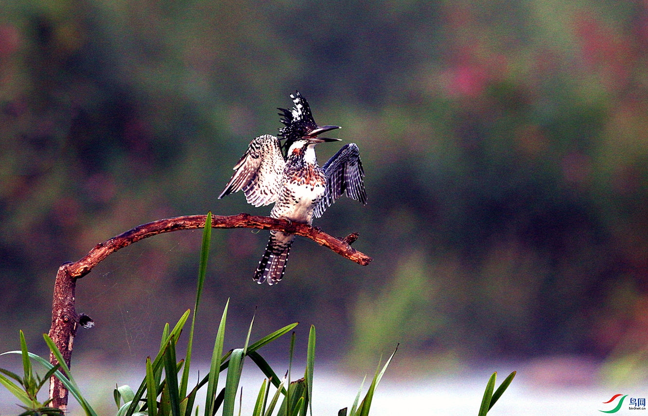 H46R5359_���� (2).jpg