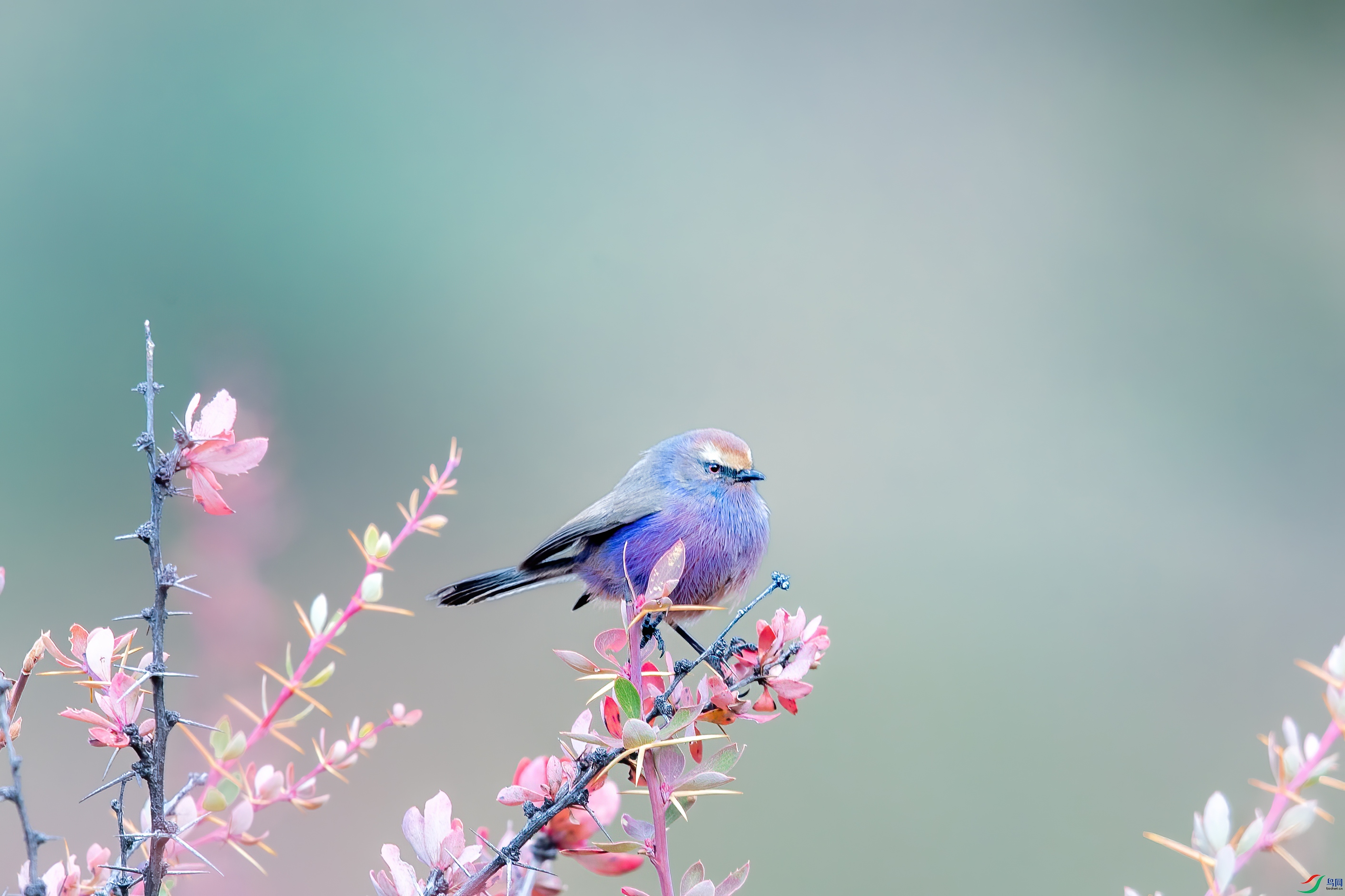 AY8I0083 ����.jpg