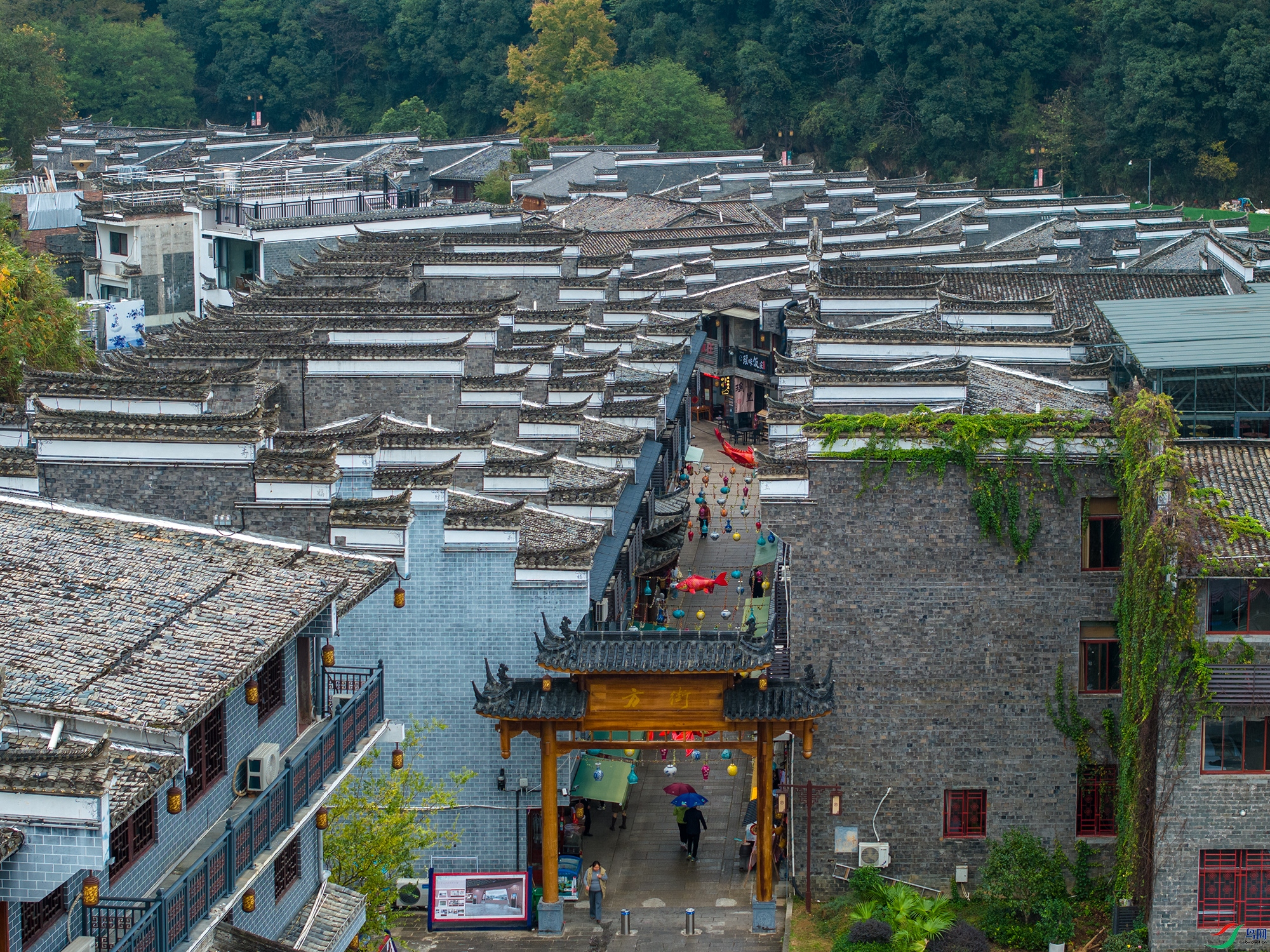 DJI_20241124071555_0127_D ����11.jpg