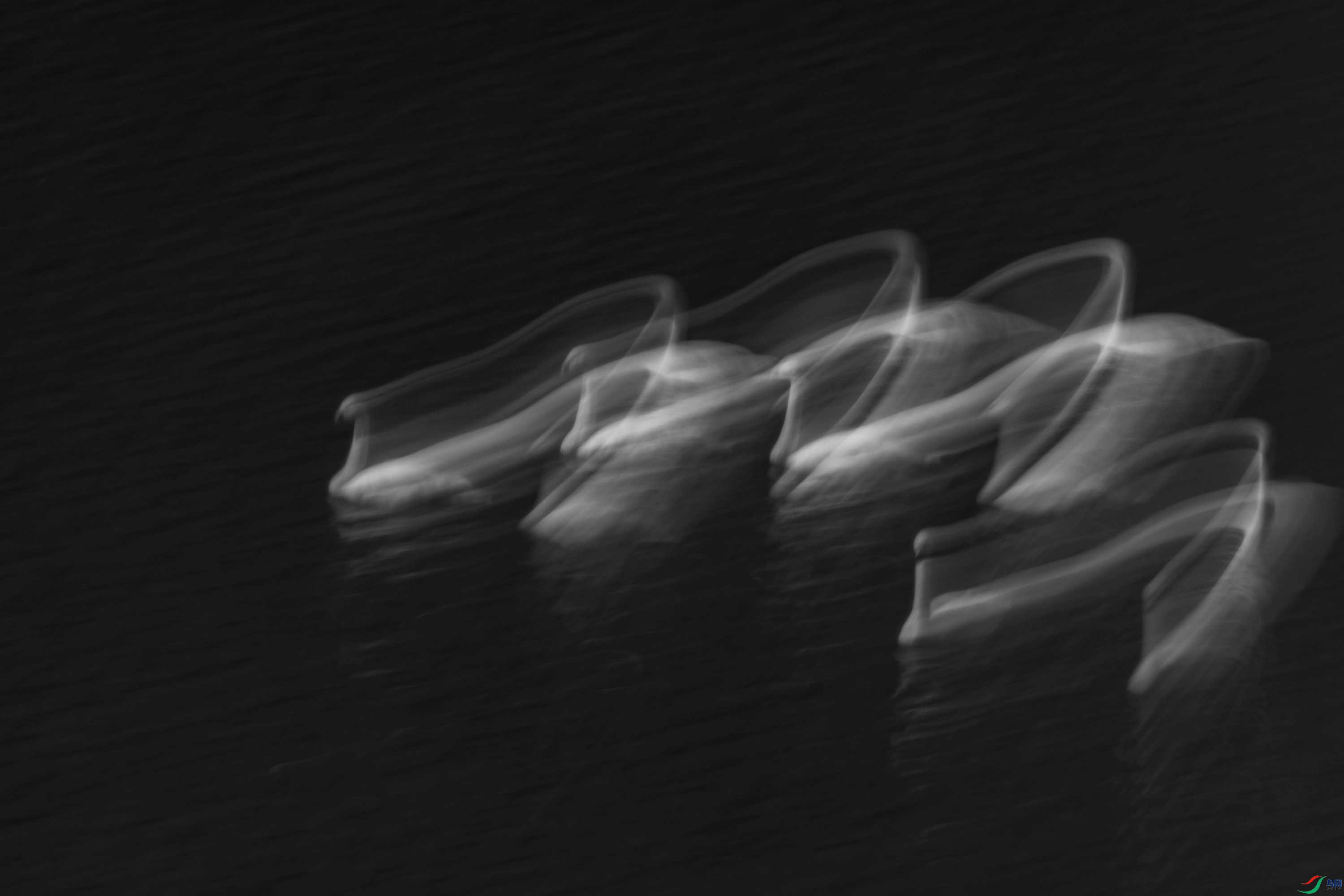 278A8069.jpg