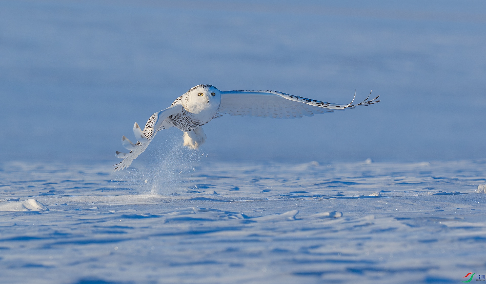 DSC_0843-����ǿ-NR-1 ����.jpg