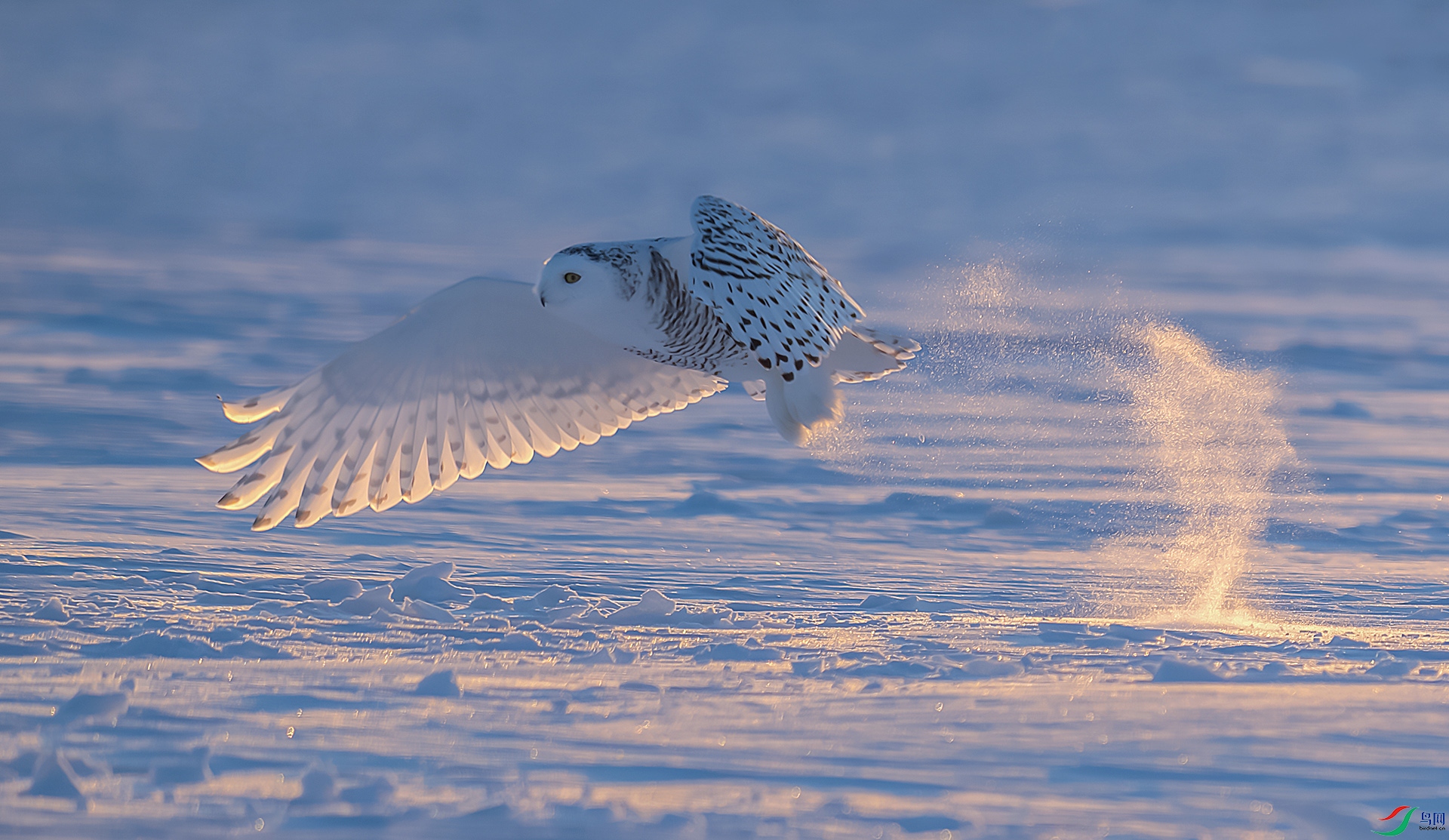 DSC_0426-����ǿ-NR ����z.jpg