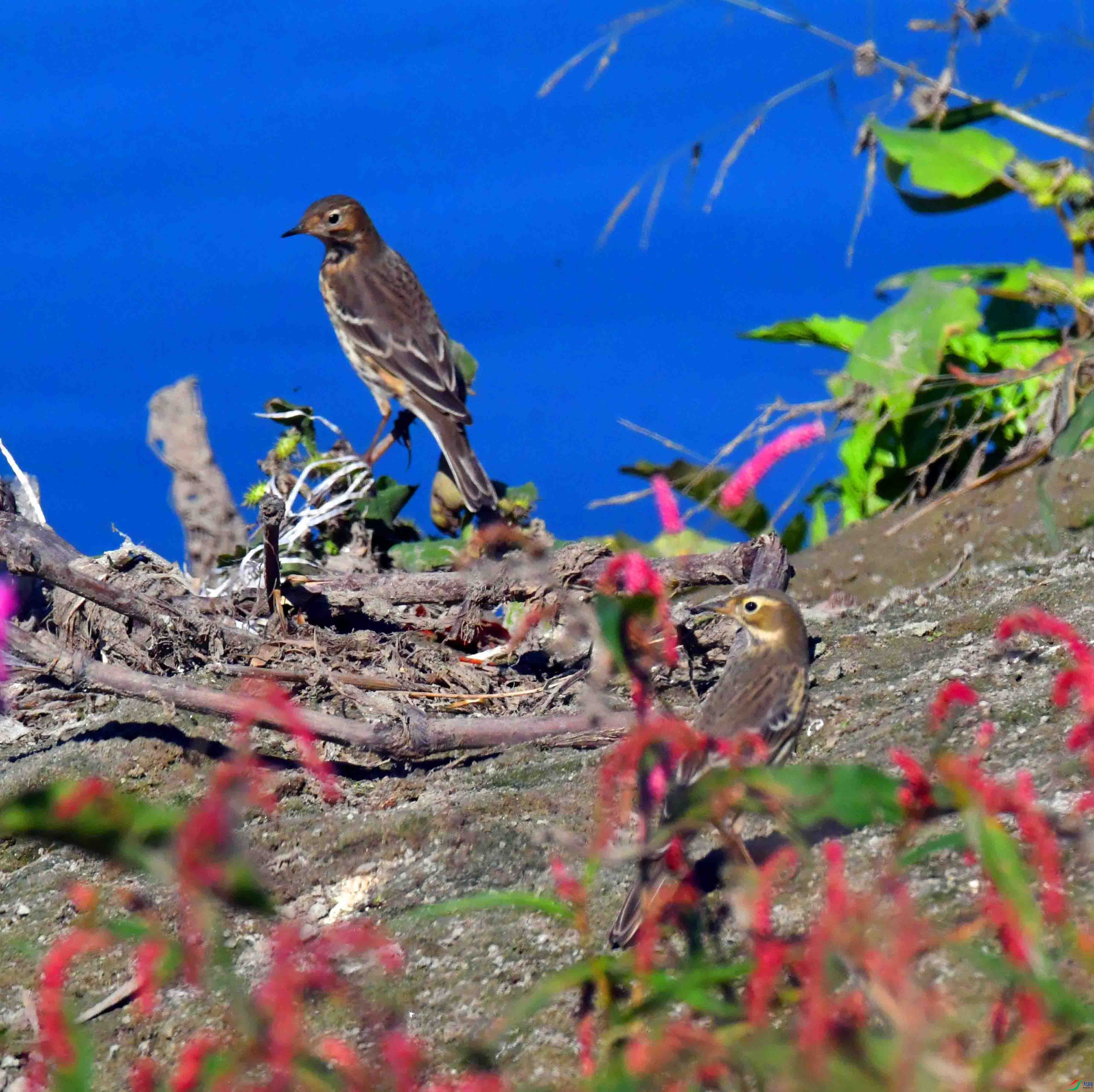 DSC_8653.JPG