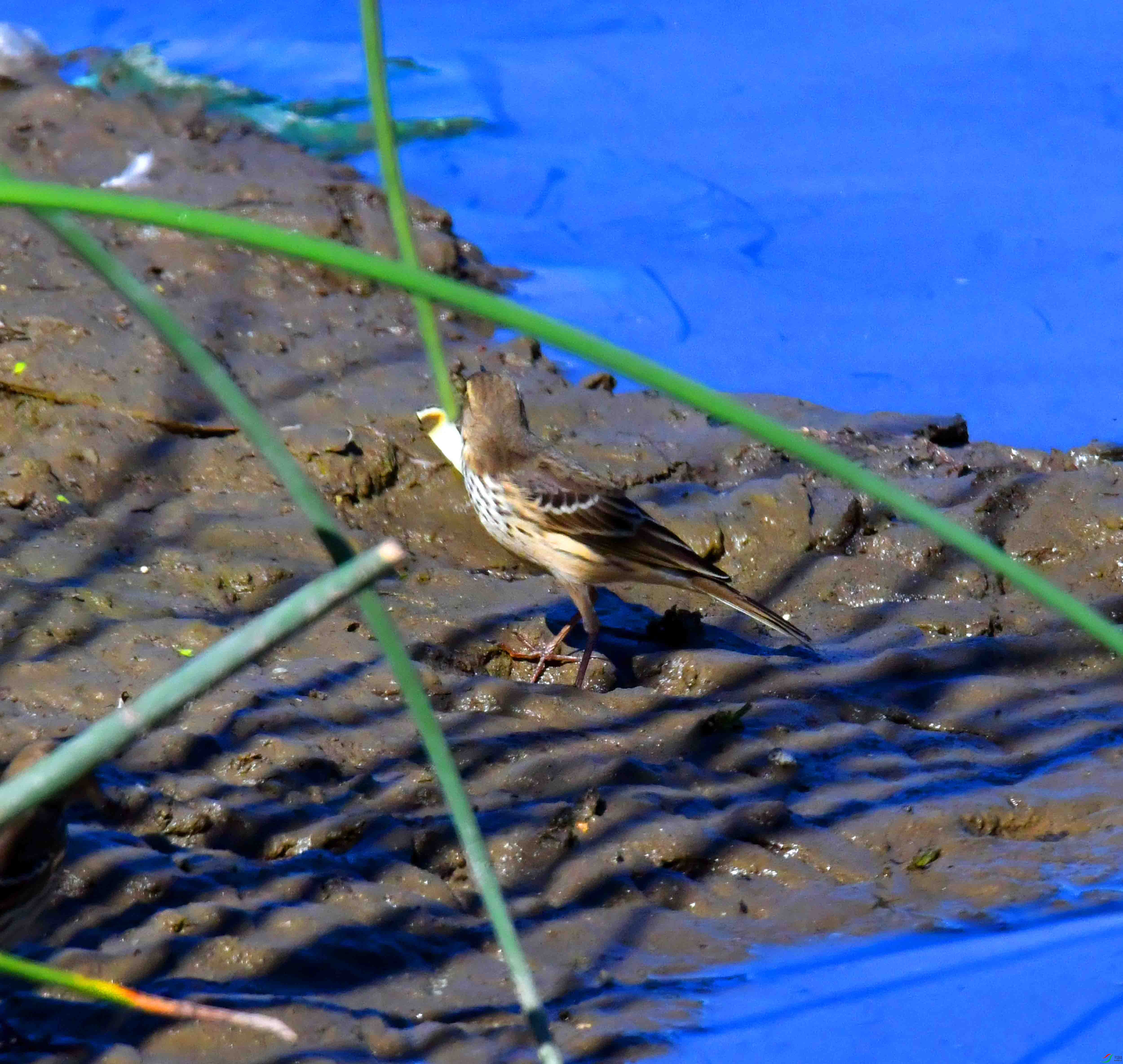 DSC_8660.JPG