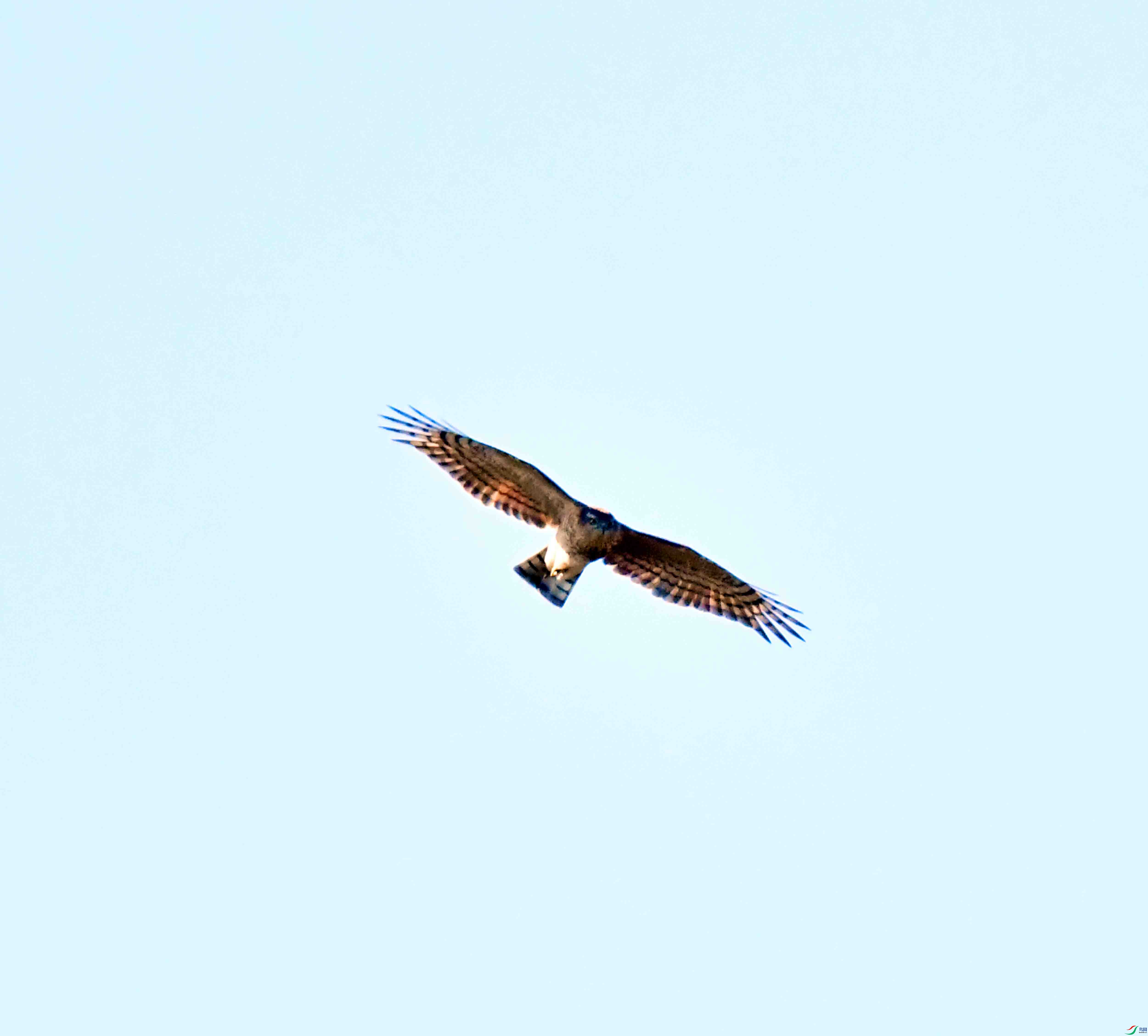 DSC_2559.JPG