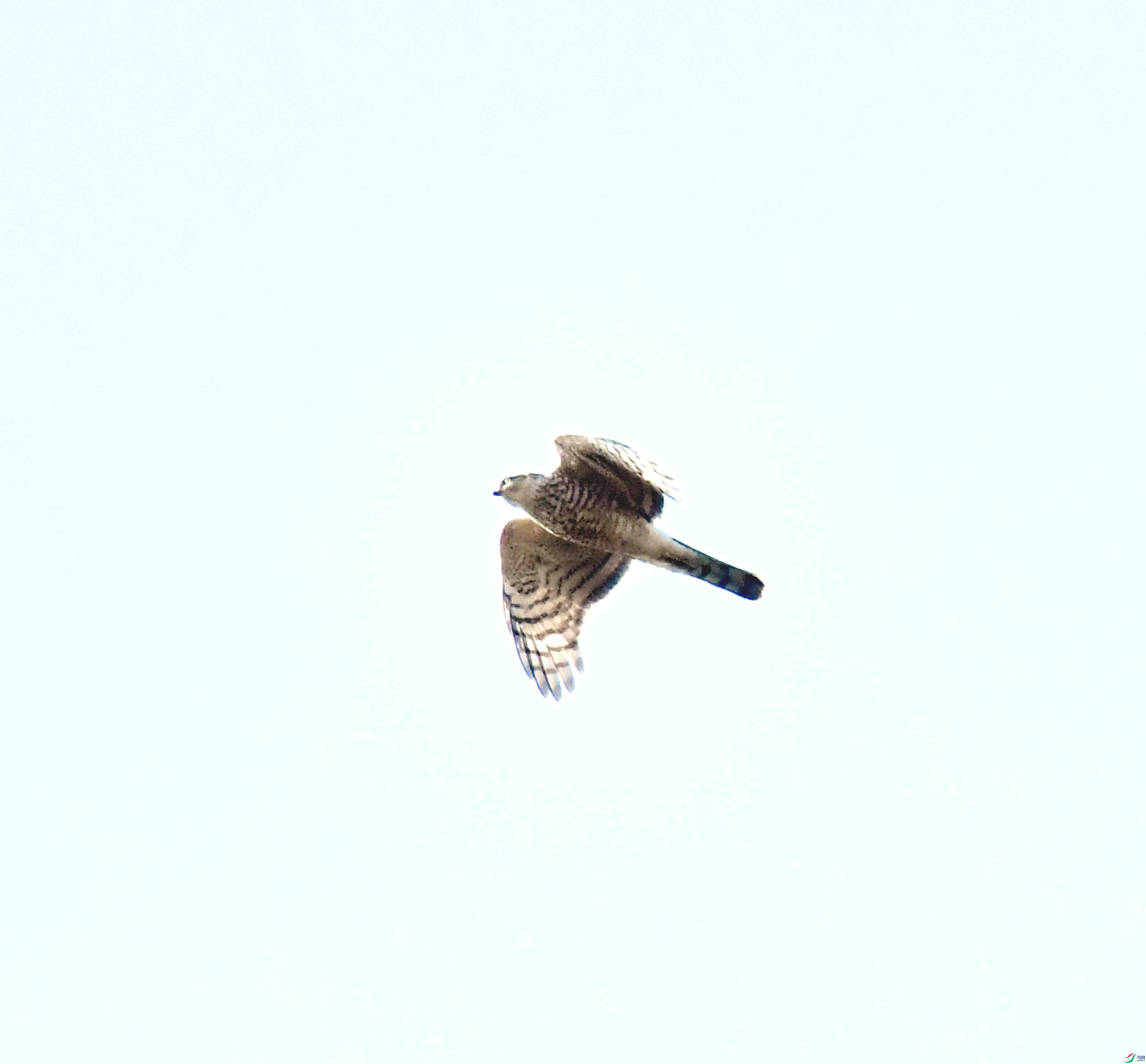 DSC_2591.JPG