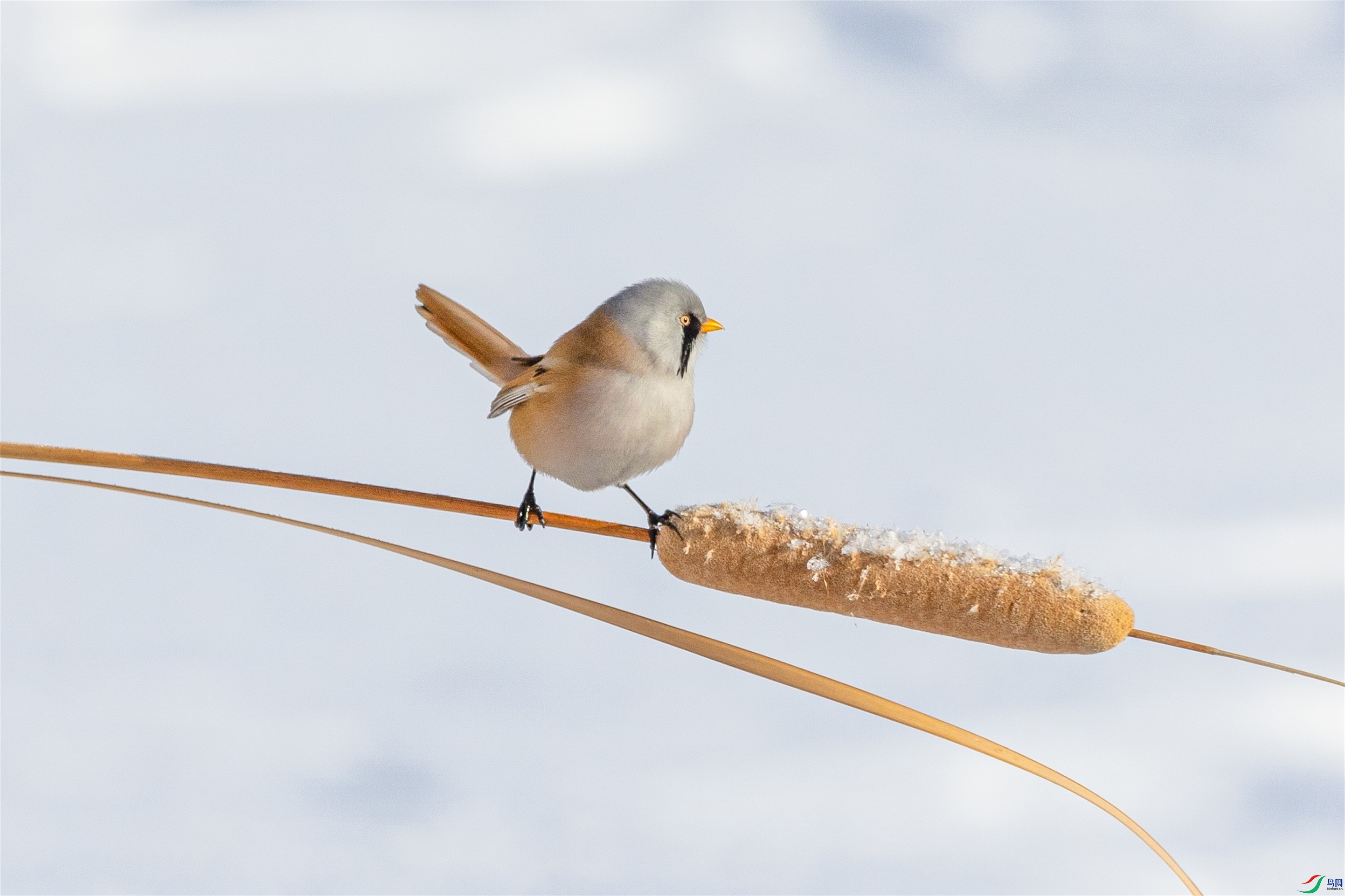 1K3A5387 ����1.jpg