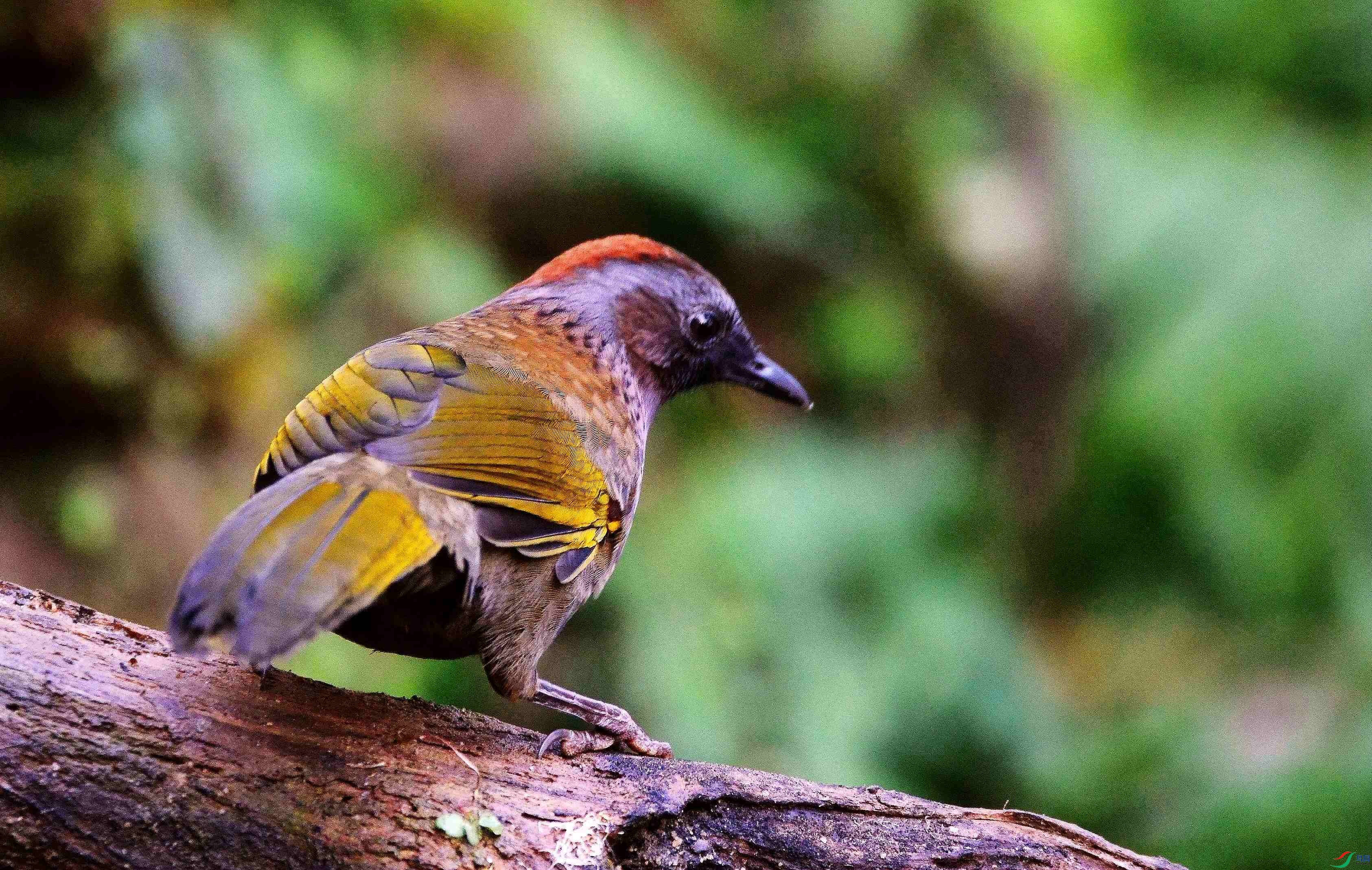 DSC_6801.JPG