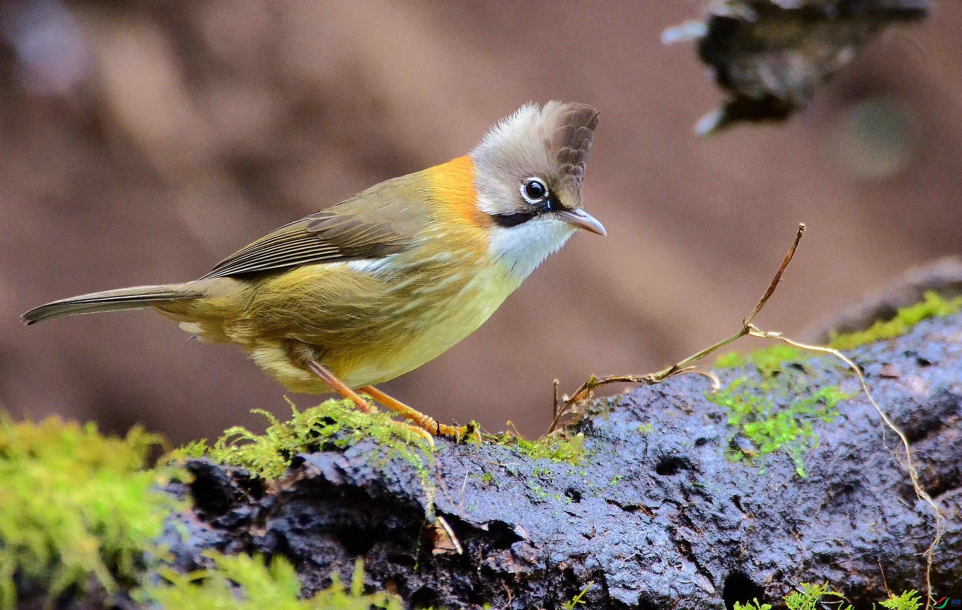 DSC_7747.JPG