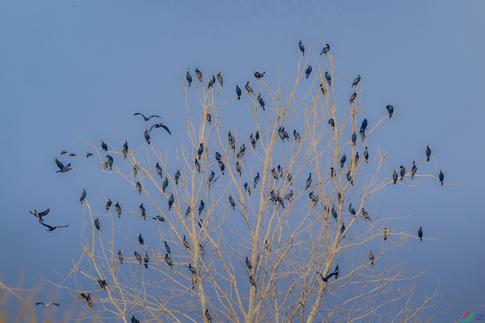 _DSC2700-����ǿ-NR ����С.jpg