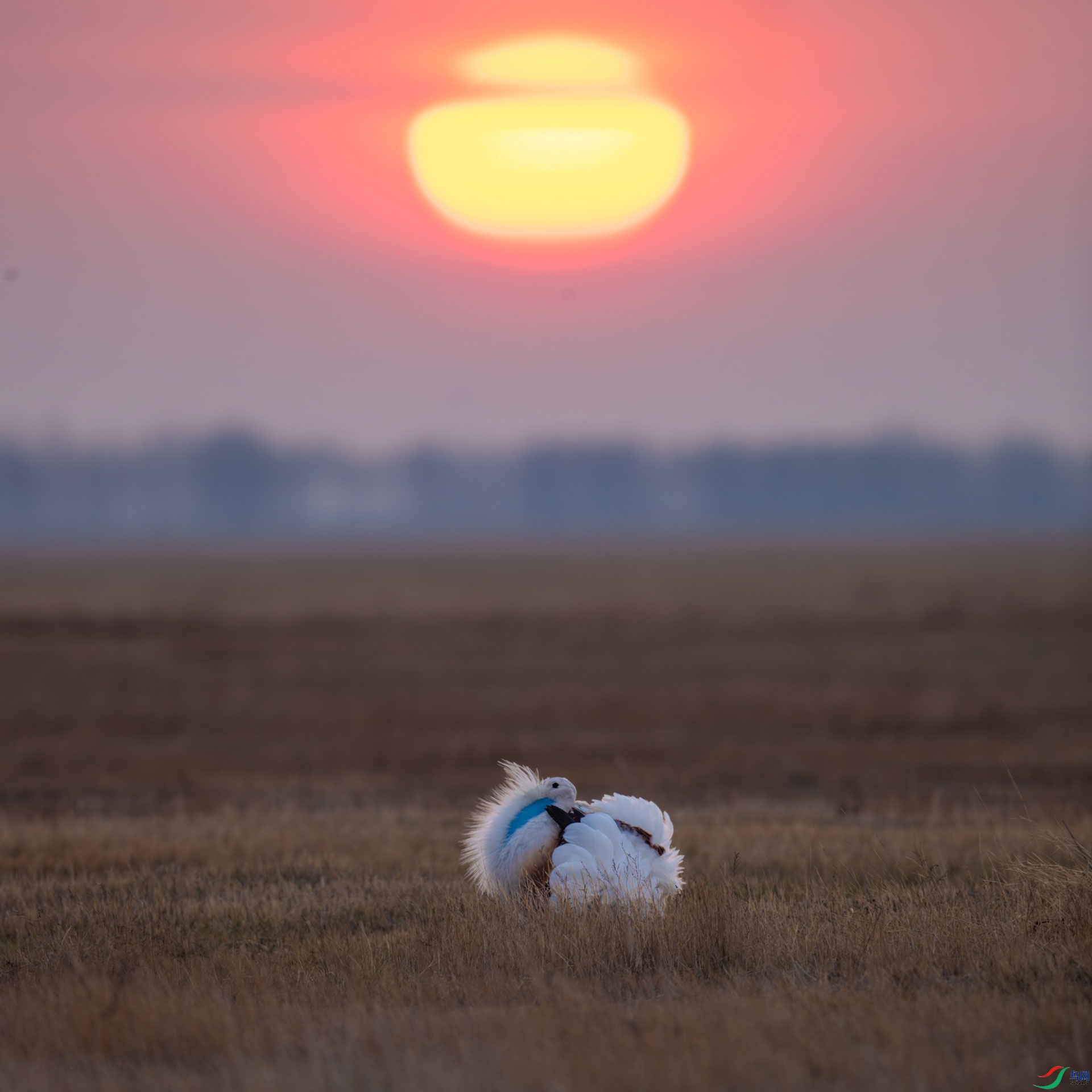 AR2I8069-CR2_DxO_DeepPRIMEXD-2-1.jpg