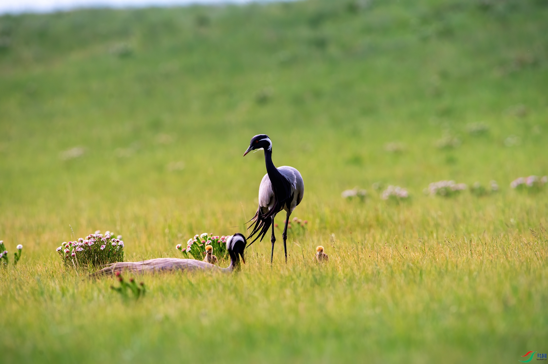 DSC_43203.jpg