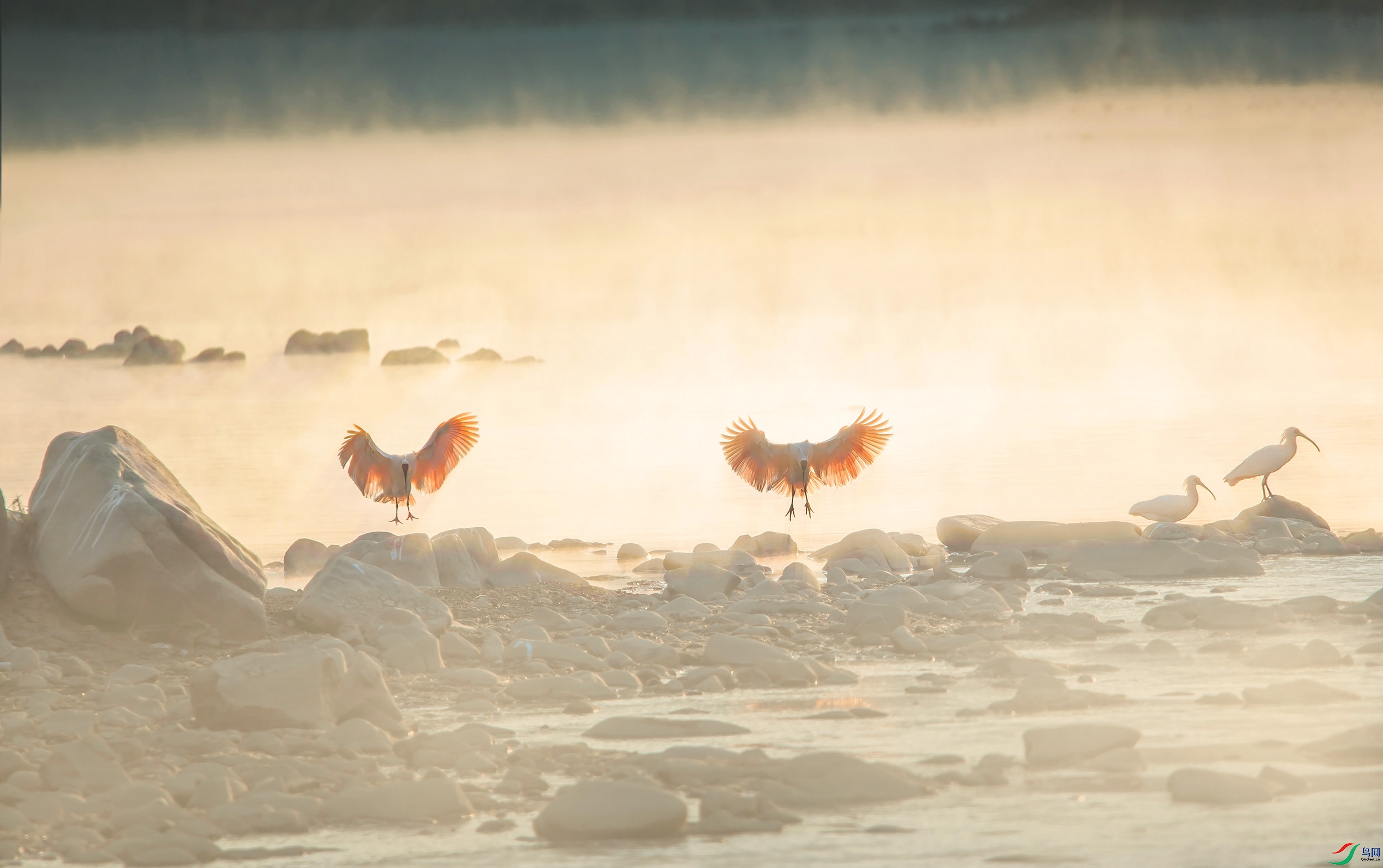 DSC_0678 ���� 2.jpg