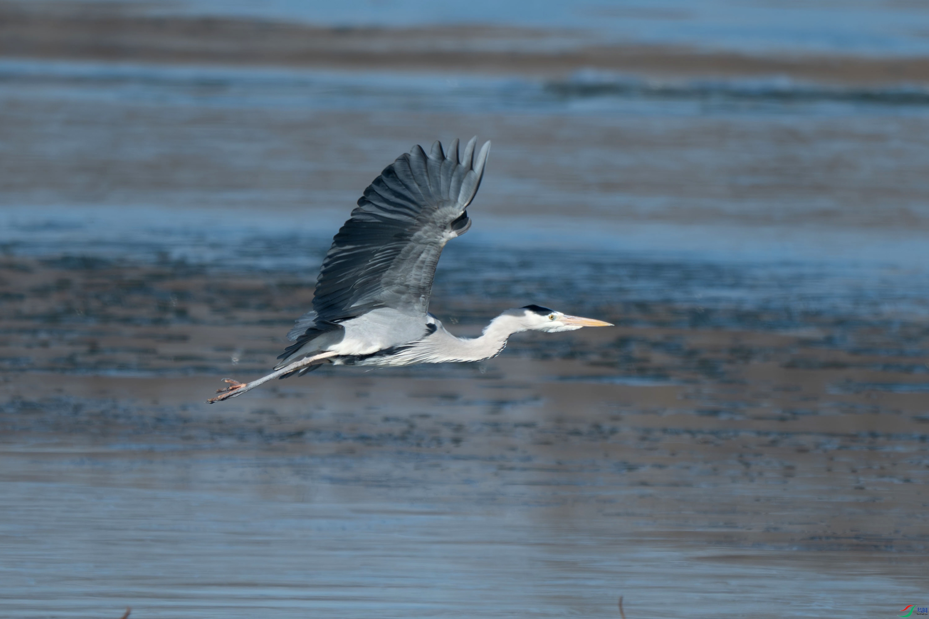 DSC_1607.jpg