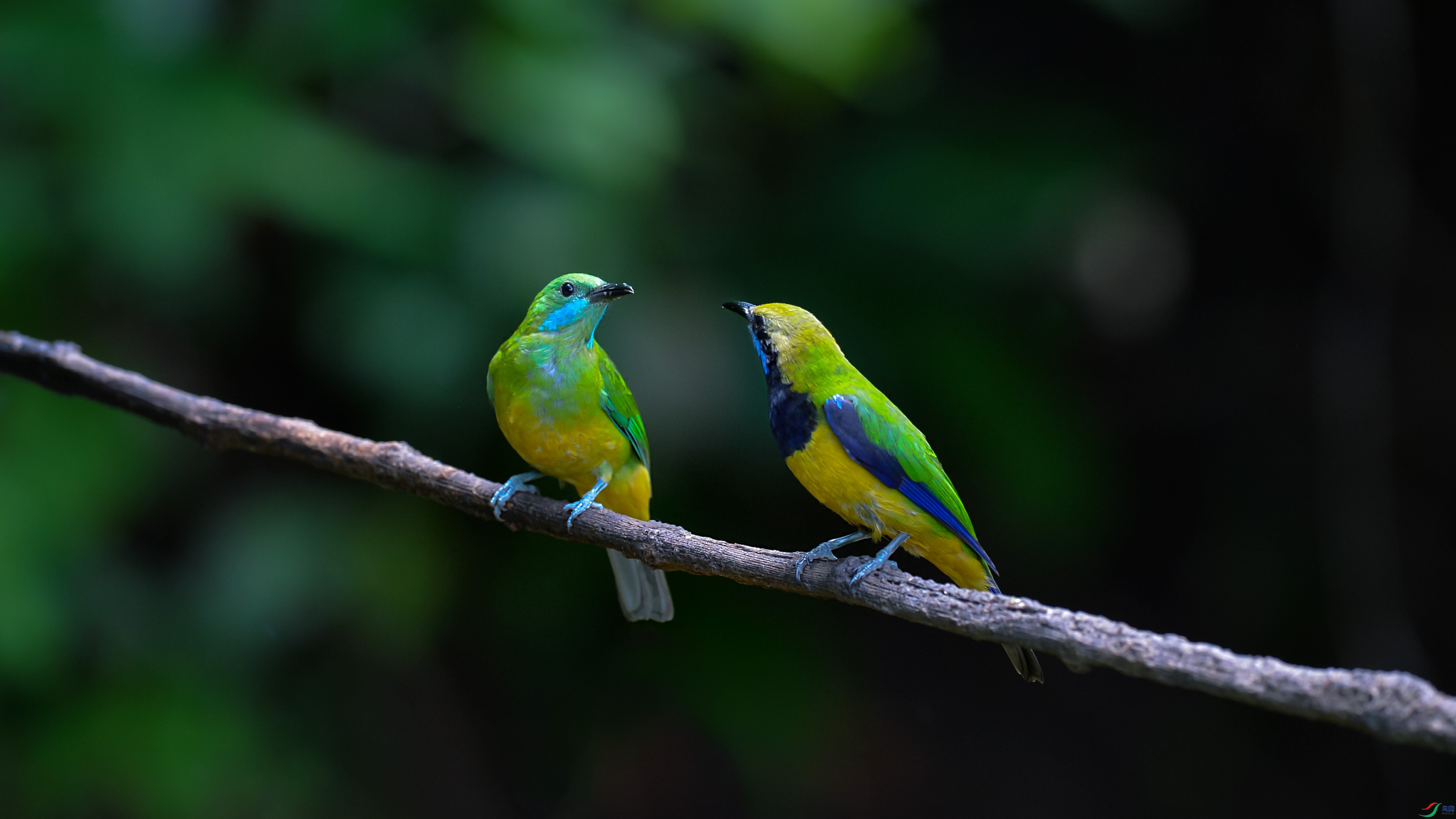 DSC_9232.jpg