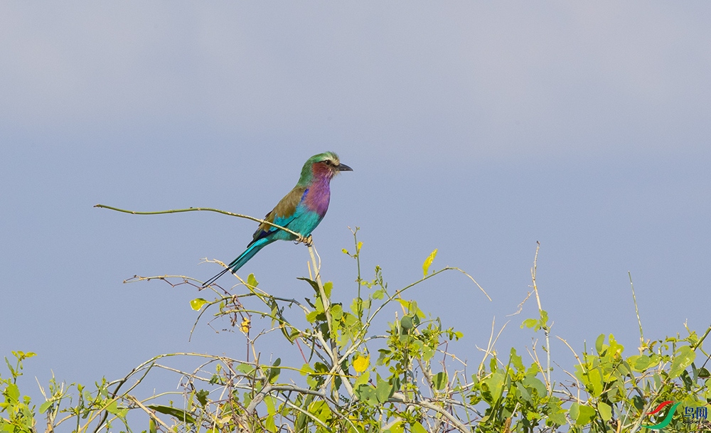 ���ط�ɮ (4).jpg