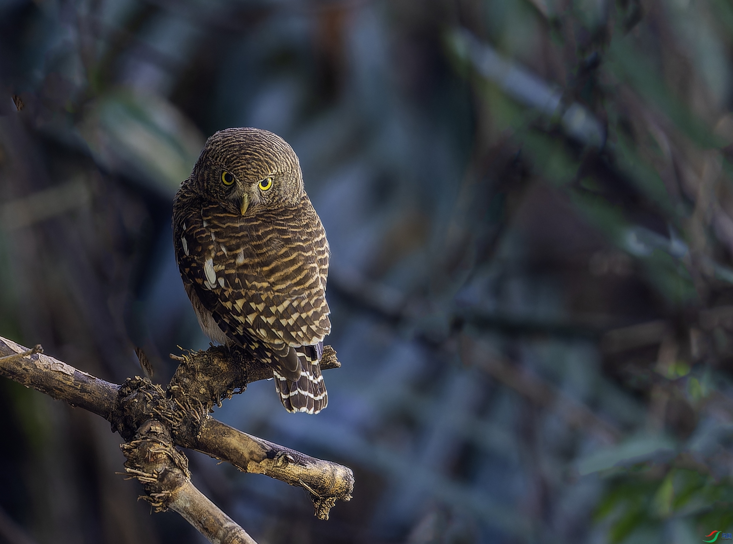 ��ͷ��m (3)-1.jpg