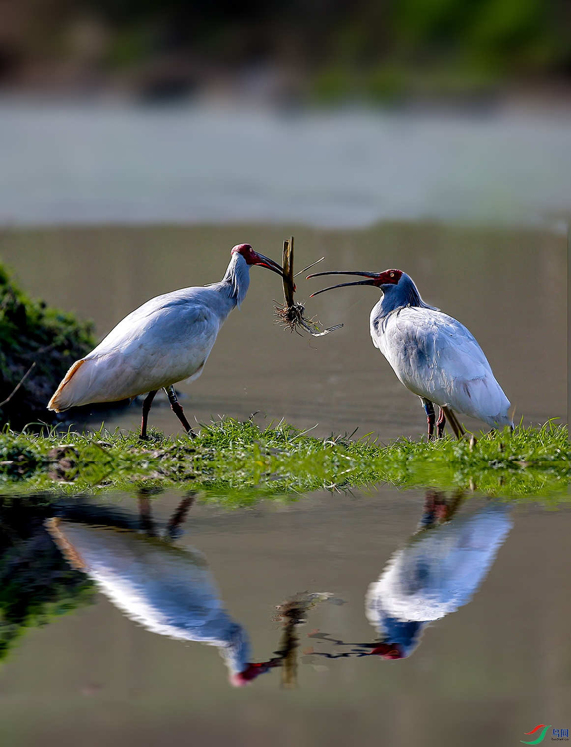 �������˵�����