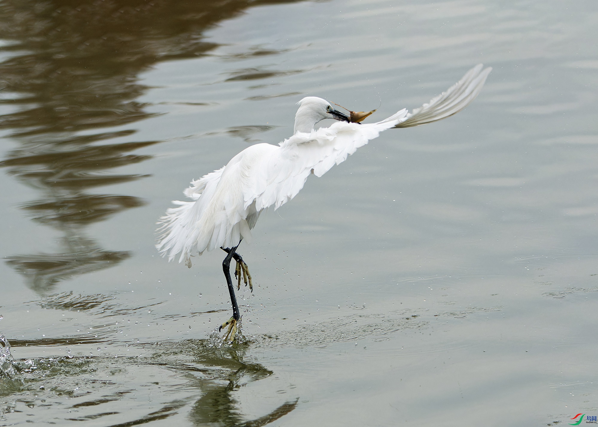 DSC_4006.jpg